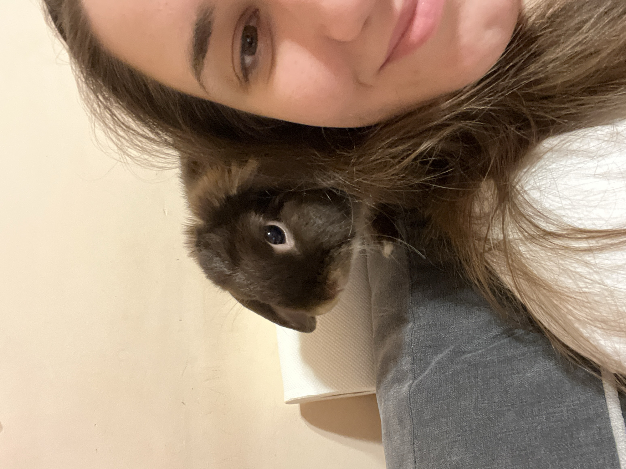 A woman is taking a selfie with a rabbit. The woman has fair skin, brown hair, and brown eyes. The rabbit is brown and white. The background is a beige wall. The location of the image is not possible to determine.