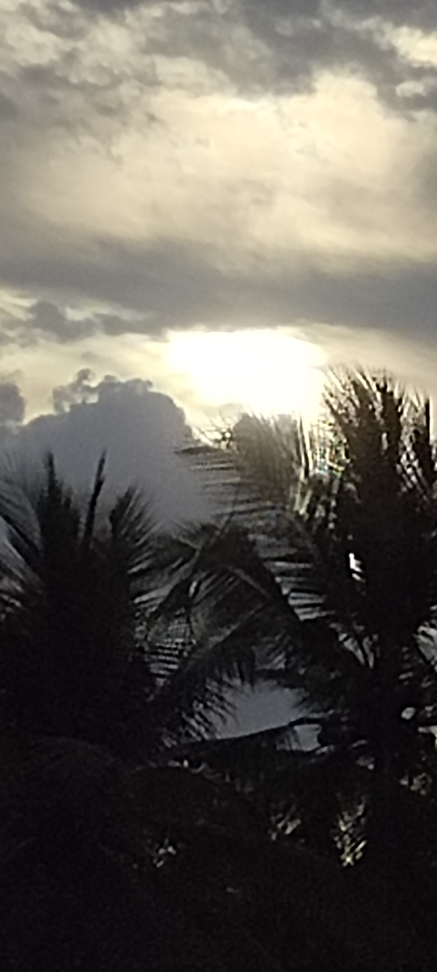 The image depicts a view of the sky with a bright, obscured sun and cloudy conditions, seen through the silhouette of palm trees. The location is Aluekeujruen, Indonesia, as specified. The foreground is dominated by dark palm tree foliage, creating a stark contrast with the bright sky above. The sky is filled with layers of gray and white clouds, with a prominent burst of sunlight filtering through a break in the cloud cover. The sun's glare makes it difficult to discern details within the cloud formation immediately surrounding it. The overall impression is one of a tropical environment experiencing partly cloudy weather. There are no people or discernible objects other than the natural elements described.