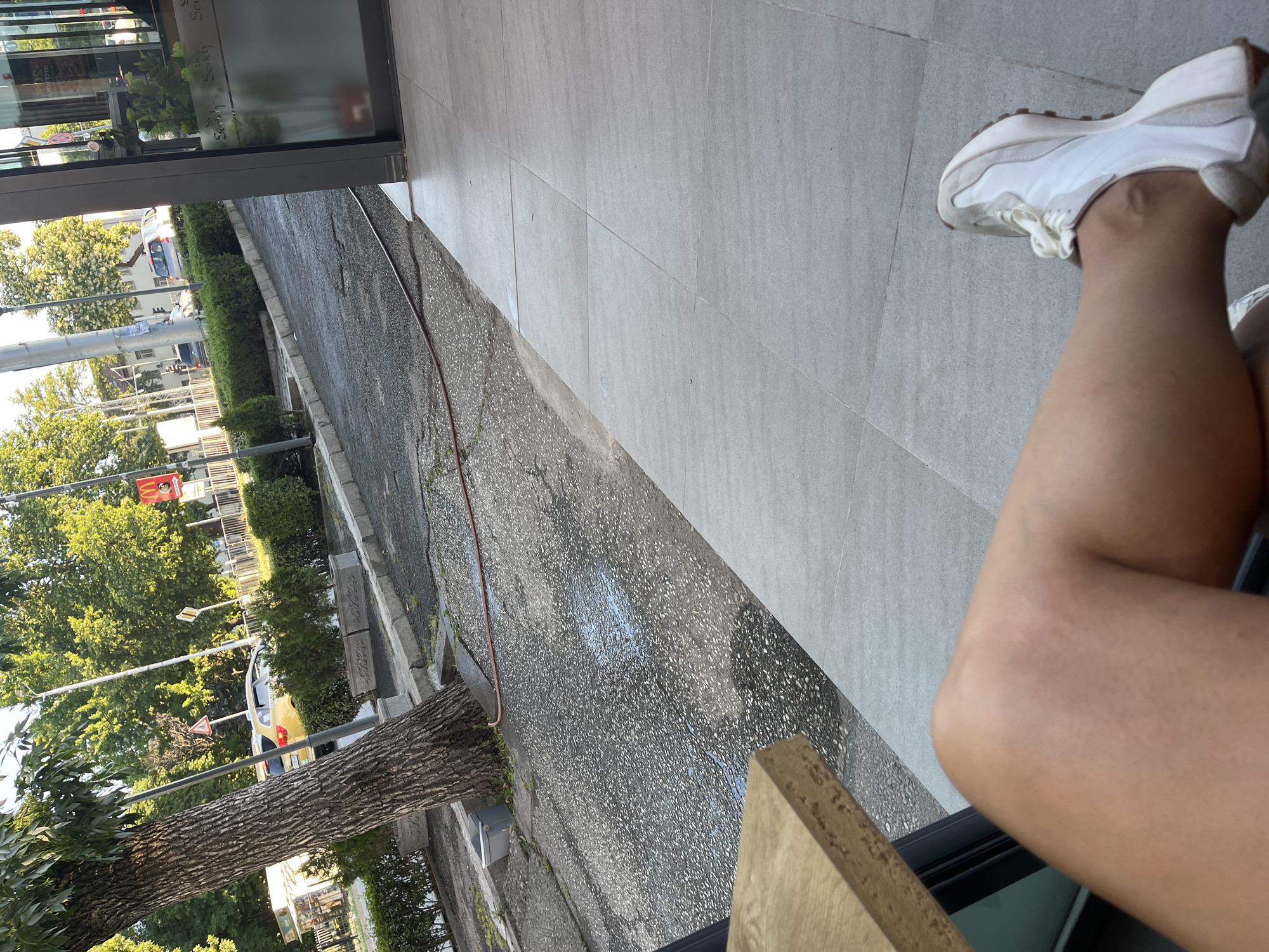 The image depicts a street scene in Plovdiv, Bulgaria, with a focus on the foreground and the environment. In the foreground, a person's legs and feet are visible, with one leg crossed over the other. The person is wearing white athletic shoes. The legs appear to be resting on a light-colored tiled surface.
The background reveals a street with a tree on the left, its trunk prominent in the frame. Beyond the tree, a yellow car is parked or driving on the asphalt road. Several other cars are visible further down the street, suggesting urban traffic. Green bushes and trees line the sidewalk, creating a natural element within the city. A McDonald's sign is visible on the right side of the background, indicating a commercial area. The overall lighting suggests it is daytime, with sunlight illuminating the scene. The presence of a red hose lying on the asphalt might indicate recent watering or cleaning activities.