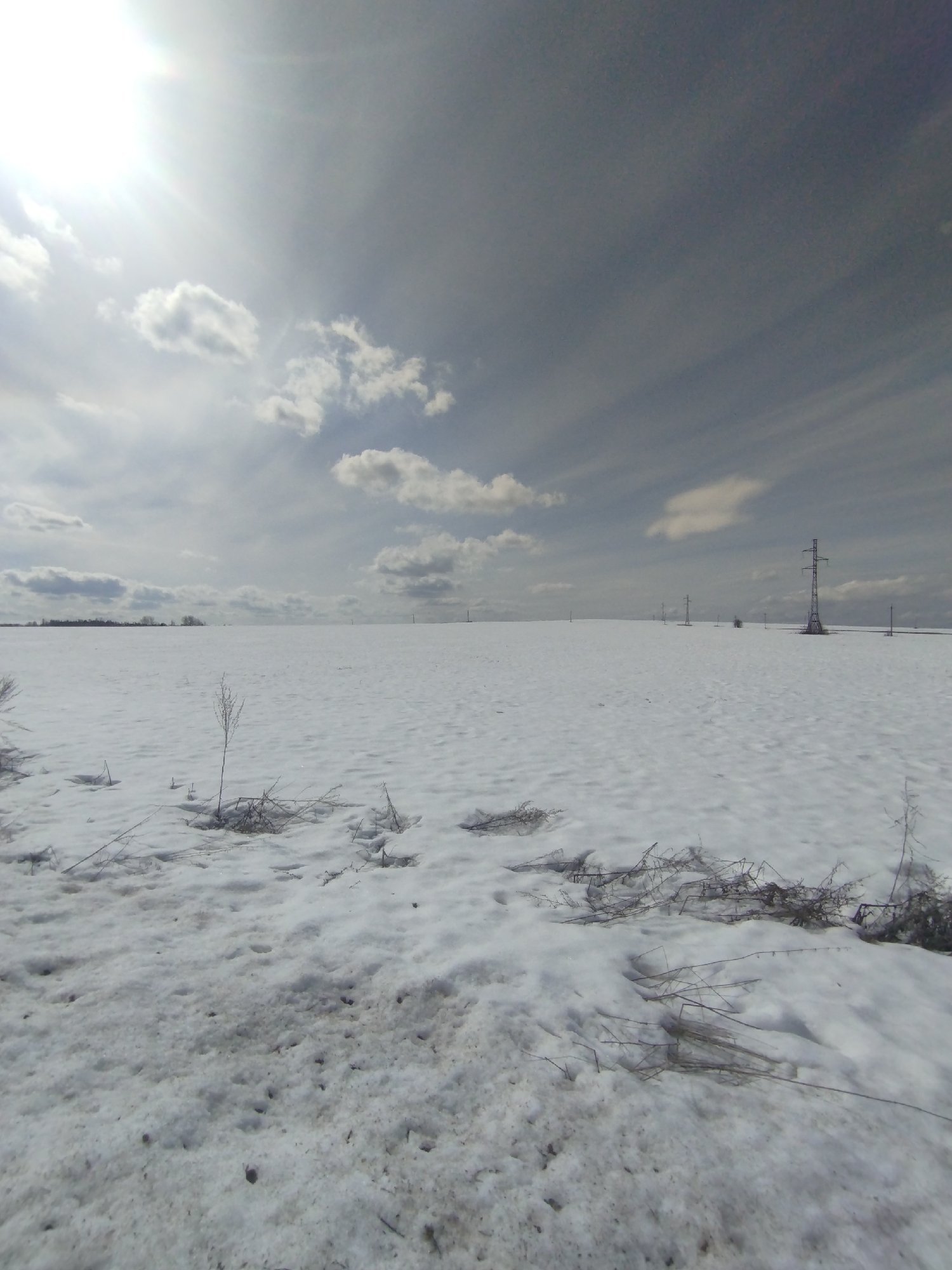 The image shows a snow-covered field under a partly cloudy sky. The sun is visible, creating a glare in the upper left corner of the frame. A few dry, withered plants protrude through the snow in the foreground. In the distance, power line towers are visible. The location is likely Grishanki, Russia. There are no people visible in the image.