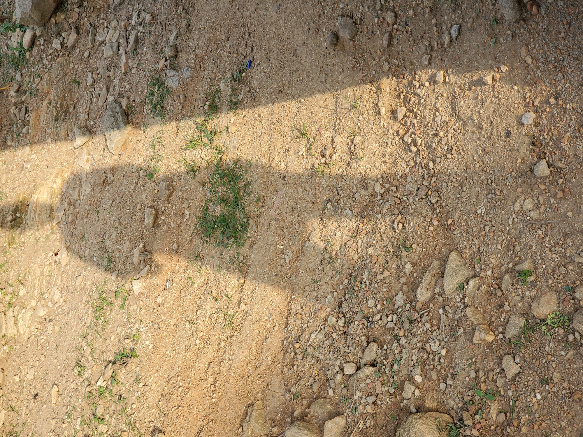 The image shows a shadow of a person cast on the ground. The ground is composed of dirt, small pebbles, and scattered rocks. There are also a few sparse green plants growing from the ground. The shadow suggests a person wearing a jacket or shirt with a collar, and possibly pants. A distinct shadow of a triangular shape, possibly from a structure or object, falls across the ground from the right side of the image, partially obscuring the person's shadow. The lighting suggests it is daytime. This scene is likely an outdoor environment, possibly a park, pathway, or an unpaved area within the city of Suleja, Nigeria.