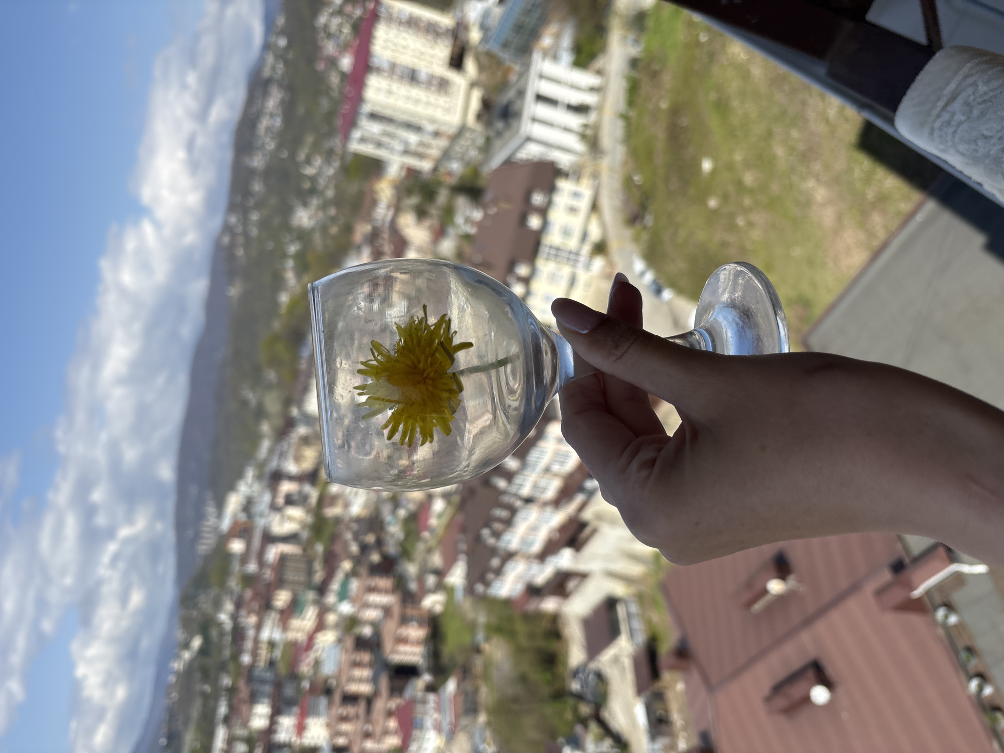 A person is holding a clear wine glass filled with water and a single yellow dandelion flower, with an out-of-focus cityscape in the background. The city is likely Sochi, Russia, given the typical architecture and mountainous backdrop. The hand holding the glass has light skin and neutral-colored nail polish. The cityscape includes buildings with varying roof colors (brown, red, white) and green areas of trees and grass. The sky is visible with white clouds and clear blue areas.
