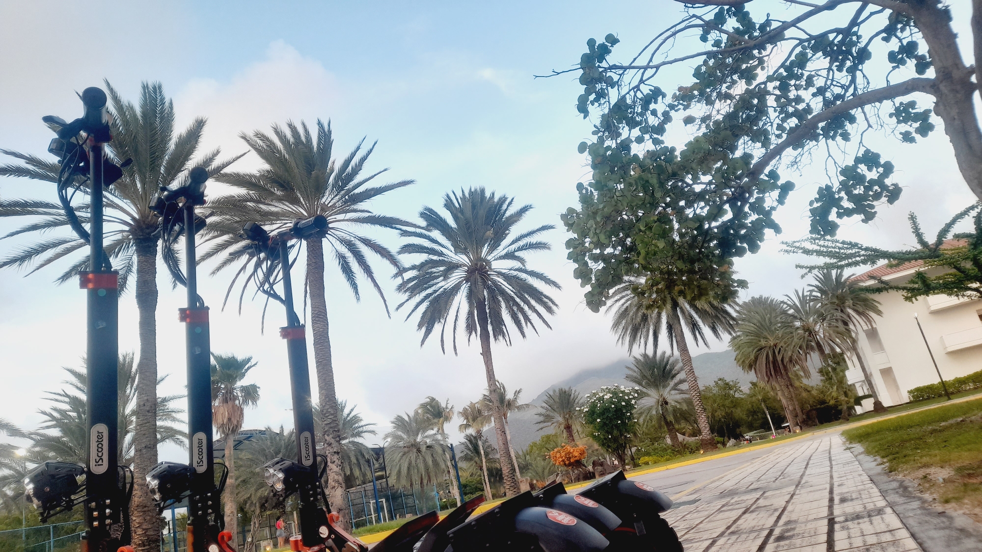 The image depicts a row of electric scooters parked along a pathway, likely in a tropical or subtropical region. The scooters are black with the "iScooter" logo visible on their stems, and some have orange accents. They are positioned in front of a line of palm trees of varying heights, characteristic of a warm climate. Beyond the palm trees, there is a white building with a red-tiled roof, and in the distance, hills or mountains are visible under a cloudy sky. The pathway appears to be made of wooden planks. The scene suggests an outdoor recreational or rental area, possibly a tourist destination. There are no people clearly visible in the foreground, but a distant figure can be seen in the middle ground. The overall impression is one of a serene, resort-like setting. The location is identified as Pedro González, Venezuela.