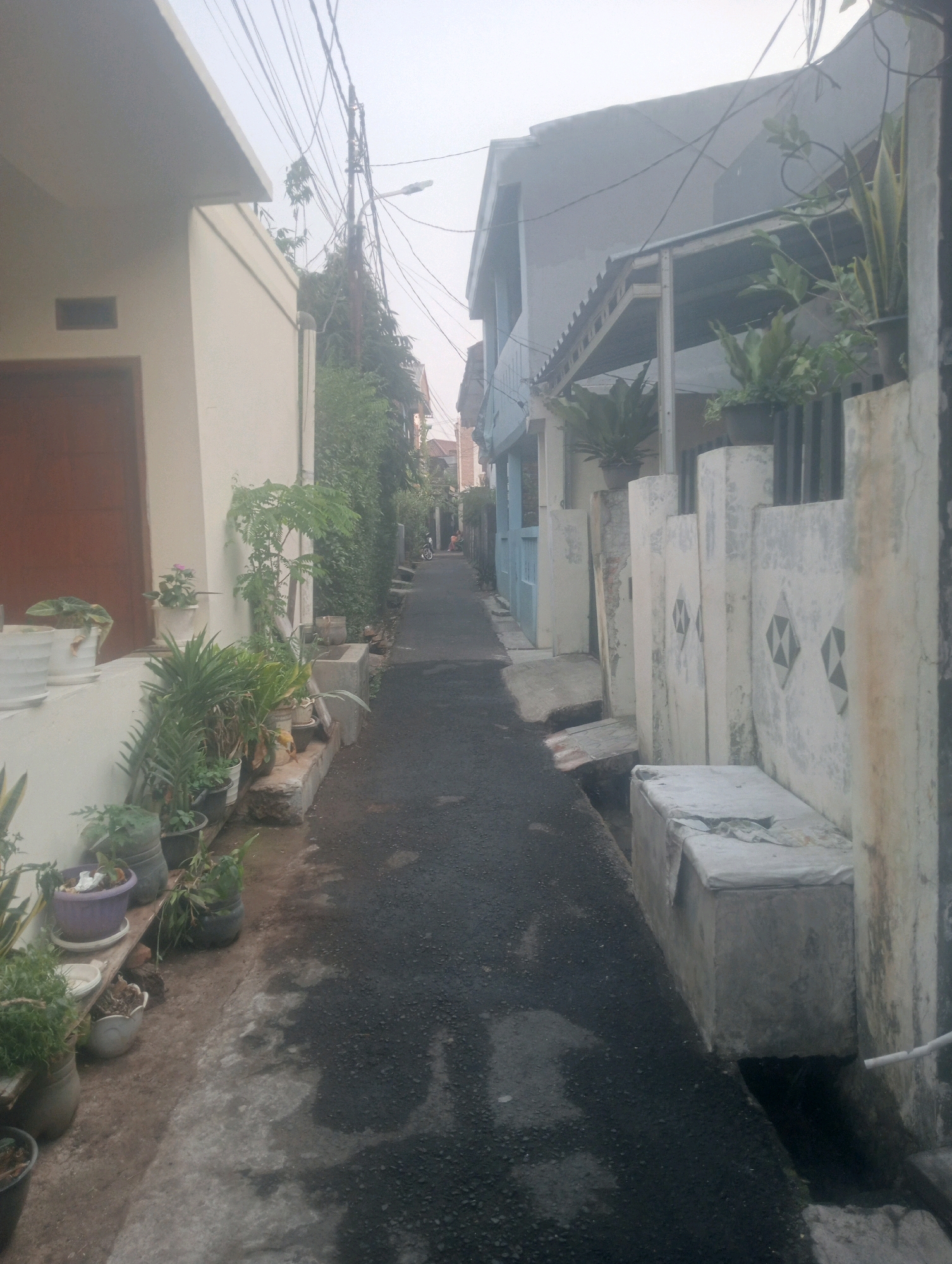 The image shows a narrow paved alleyway lined with buildings and plants. On the left side, a cream-colored building with a brown door is visible. A row of potted plants, including what appears to be a snake plant and some smaller leafy plants, are placed along a low concrete ledge. The alleyway itself is dark asphalt, wet in some areas, suggesting recent rain. On the right side of the alley, a series of white concrete pillars with diamond-shaped patterns are visible. Beyond these pillars, a grey concrete structure, possibly a bench or a storage unit, is covered with a faded grey tarp. Further down the alley, several houses with blue and grey facades are visible. Overhanging electrical wires run across the top of the image. In the distance, a person on a motorcycle is seen, heading away from the camera. The overall environment appears to be a residential area in a city. This scene is consistent with the typical urban alleyways found in areas such as East Jakarta, Indonesia, characterized by dense housing and narrow passages between buildings.