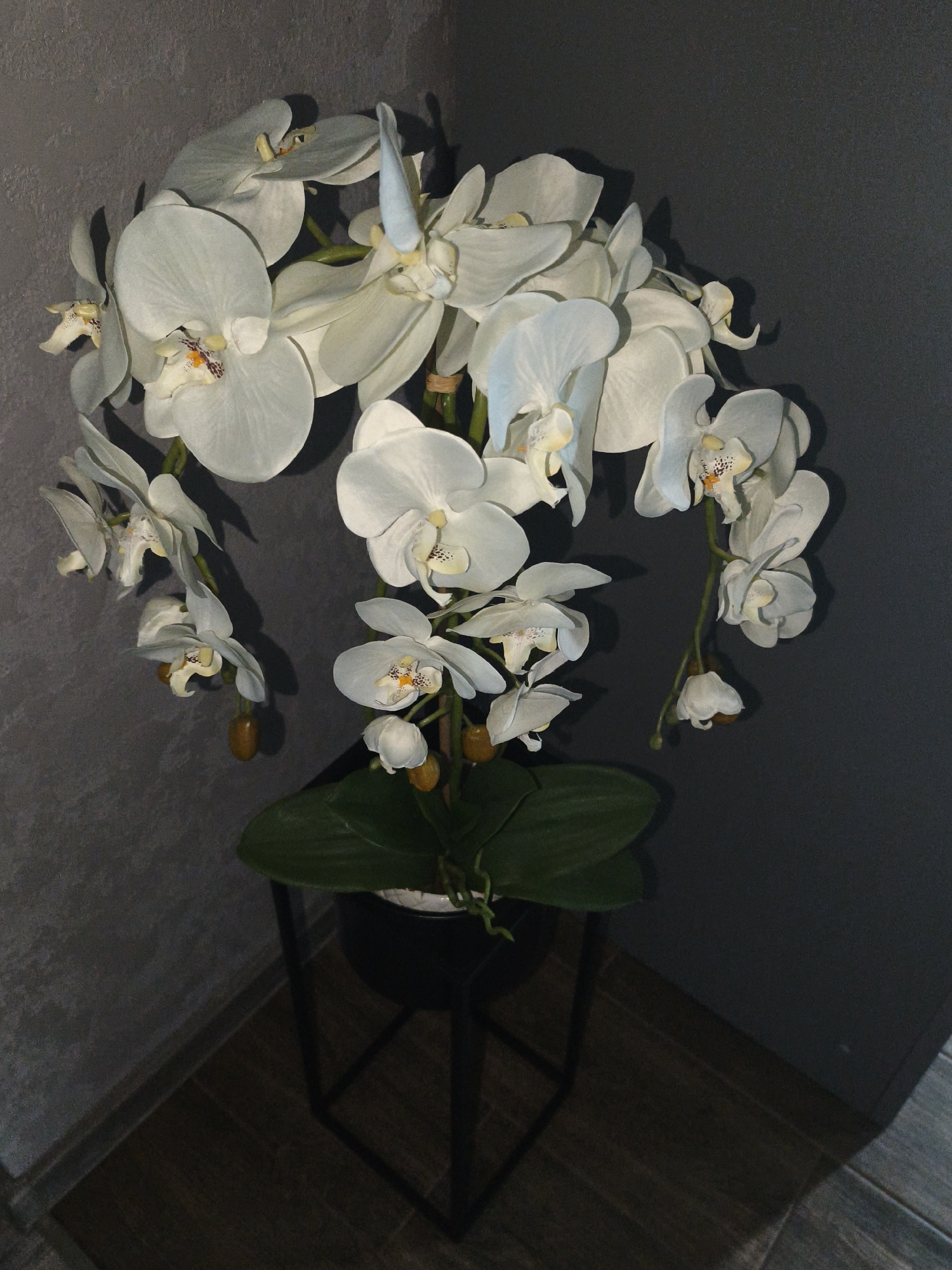 The image depicts an artificial Phalaenopsis orchid plant with numerous white blossoms and dark green leaves, positioned indoors in the city of Brodi, Latvia. The plant is situated in a dark, possibly black, pot which rests on a black, open-frame metal stand. The background consists of two walls forming an interior corner: the left wall exhibits a textured, mottled light gray finish, while the right wall presents a smooth, solid dark gray appearance. The floor is covered with dark brown, rectangular tiles or planks, visible in the lower portion of the frame. Lighting creates shadows on the right wall and the floor, indicating a light source from above and to the left of the plant. No individuals, animals, or other significant objects are present in the scene.