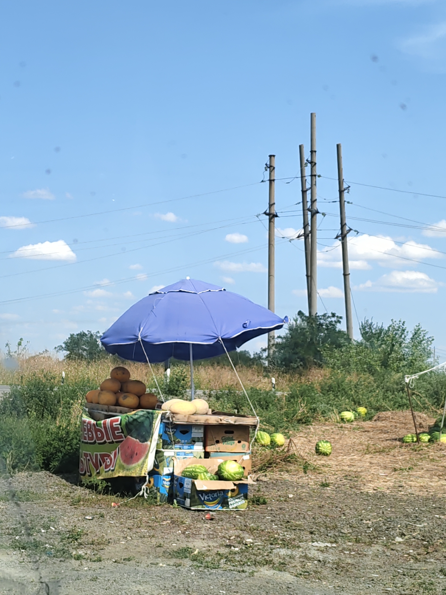 This is a full, eye-level, outdoor shot of a roadside fruit stand in Yagodinka, Russia. The fruit stand is topped with a large, blue umbrella. The stand itself is made of wooden crates and displays various fruits, including a stack of round, orange fruits, several watermelons, and what appear to be cantaloupes. Behind the stand, in the background, are power lines supported by tall wooden poles. The environment is rural, with dry grass and some green bushes. The sky is blue with scattered white clouds. The ground in front of the stand is covered with gravel and debris. There are no people visible in the frame.