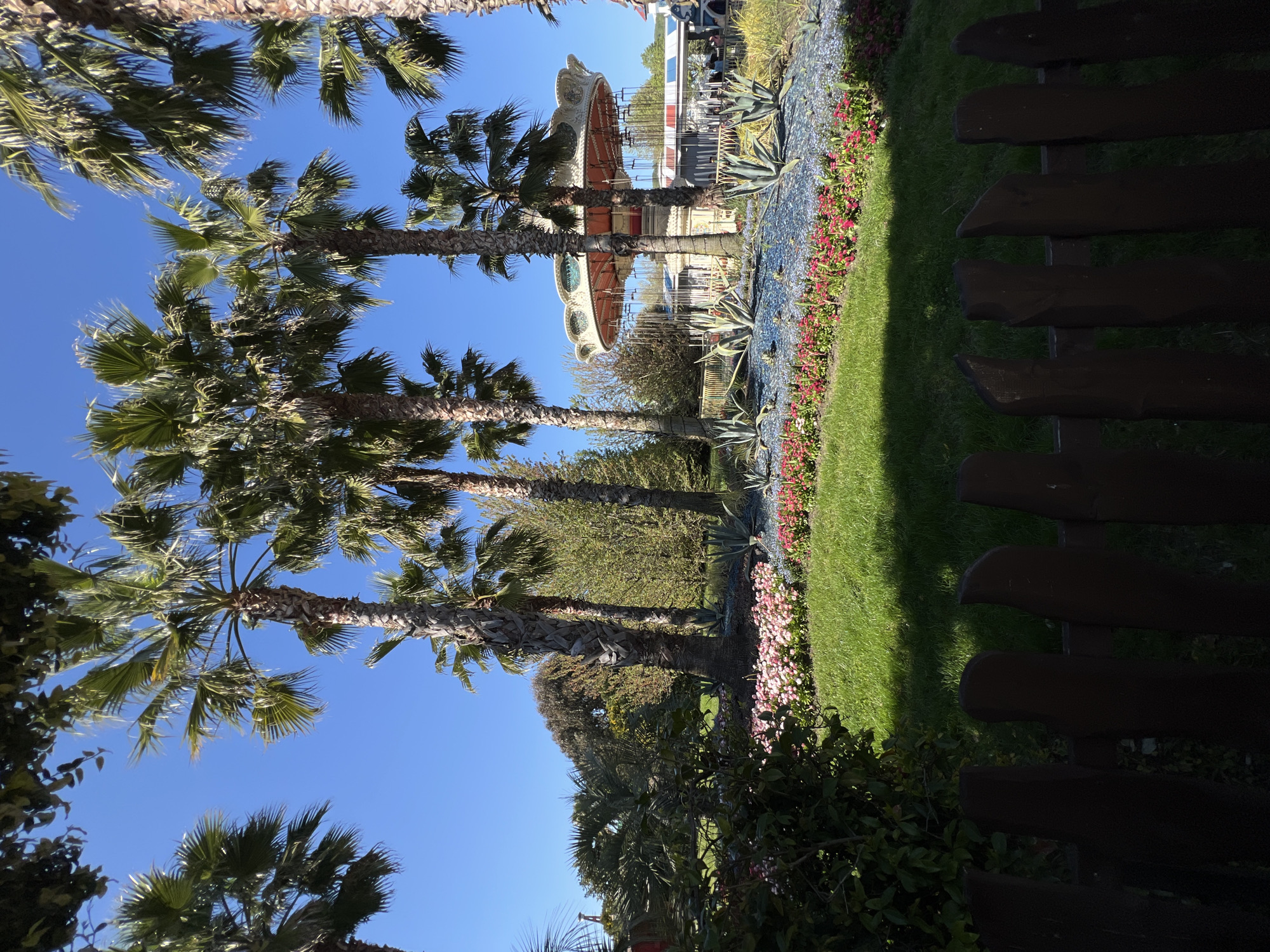 An outdoor scene captured on a clear, sunny day in Sochi, Russia, features lush tropical and cultivated greenery alongside an amusement park attraction. The image is oriented vertically, showing tall palm trees with visible trunks and fronds extending upwards towards a bright, cloudless blue sky, dominating the left and central portions. Sunlight illuminates the scene, casting distinct shadows, particularly from the fence on the right.
At ground level, a well-maintained green lawn stretches across the middle and right side of the frame. Adjacent to the lawn, a border of vibrant pink and red flowers forms a colorful bed. Beyond the flowers, a decorative strip on the ground appears to be covered with small, reflective blue or silver elements, interspersed with agave plants.
In the mid-ground, partially obscured by the palm trees and other foliage, the upper part of an ornate carousel or similar amusement ride is visible. This structure is distinguished by its white, orange, and gold colors, with intricate decorative elements suggesting a classic design. Further behind the ride, more trees and greenery can be seen. On the far right, a dark wooden fence runs vertically, separating the foreground from the rest of the scene. No people or visible text are present in the image.