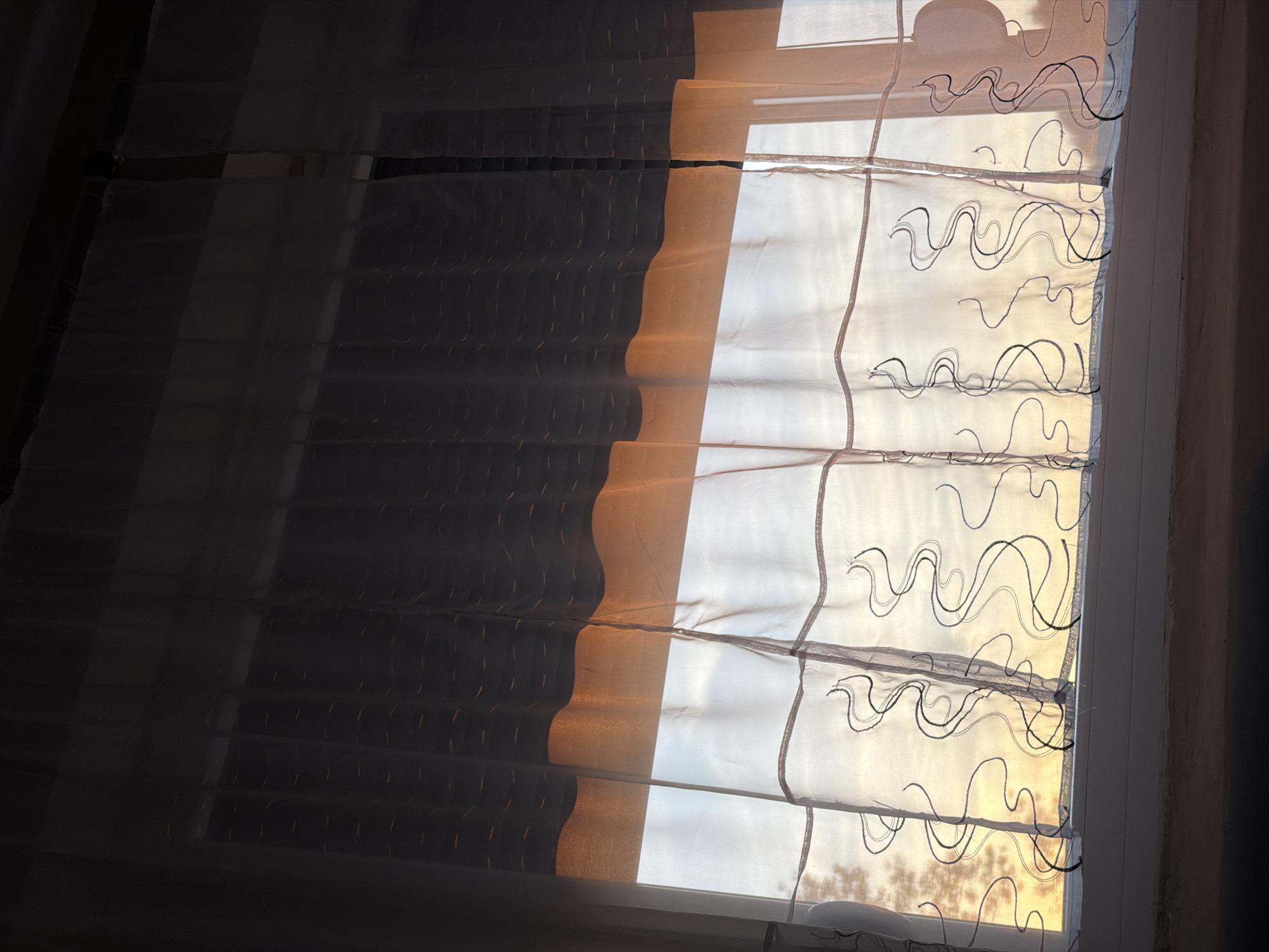The image shows a window with a sheer curtain partially drawn, letting in light. The left side of the curtain is dark, while the right side is illuminated. The curtain has a design of wavy lines embroidered on it. The window is located in a room, with some hints of outdoor landscape visible through the sheer fabric. No people are visible. The city of location is Unknown, Unknown.
