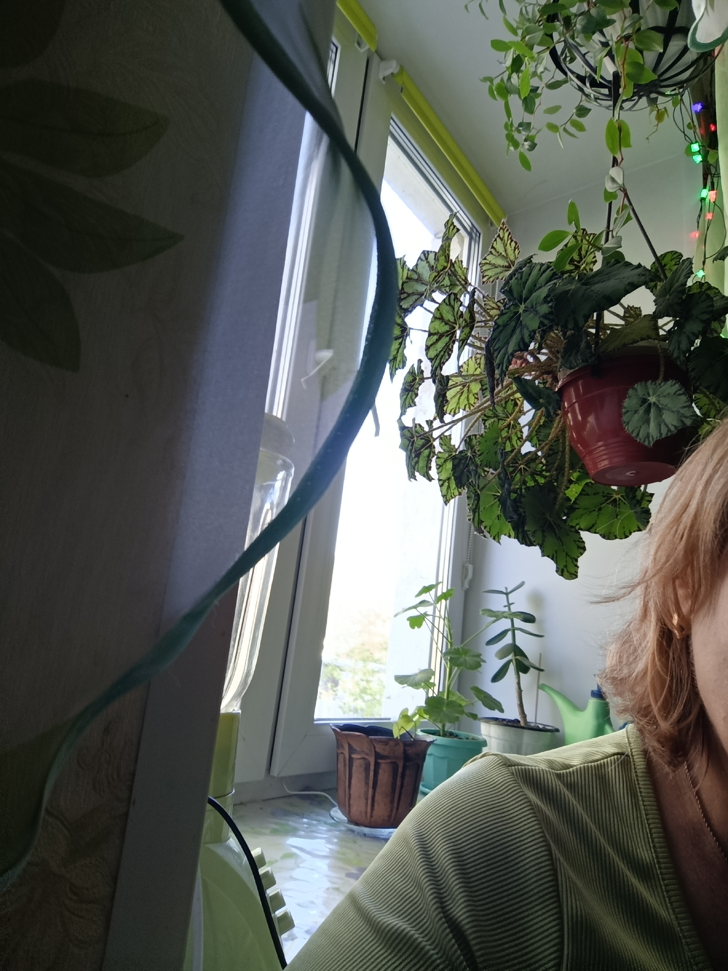 This image depicts an indoor scene with a focus on a collection of houseplants near a window. A woman's shoulder and hair are visible in the foreground on the right side of the frame, suggesting she is looking at or interacting with the plants. The room appears to be a living space or a sunroom, with natural light streaming in from the window. The plants are varied, with at least one in a hanging pot and others on a windowsill. One of the plants has distinctive patterned leaves. The overall atmosphere is domestic and serene. The location is stated to be the city of Tugulym, Russia.