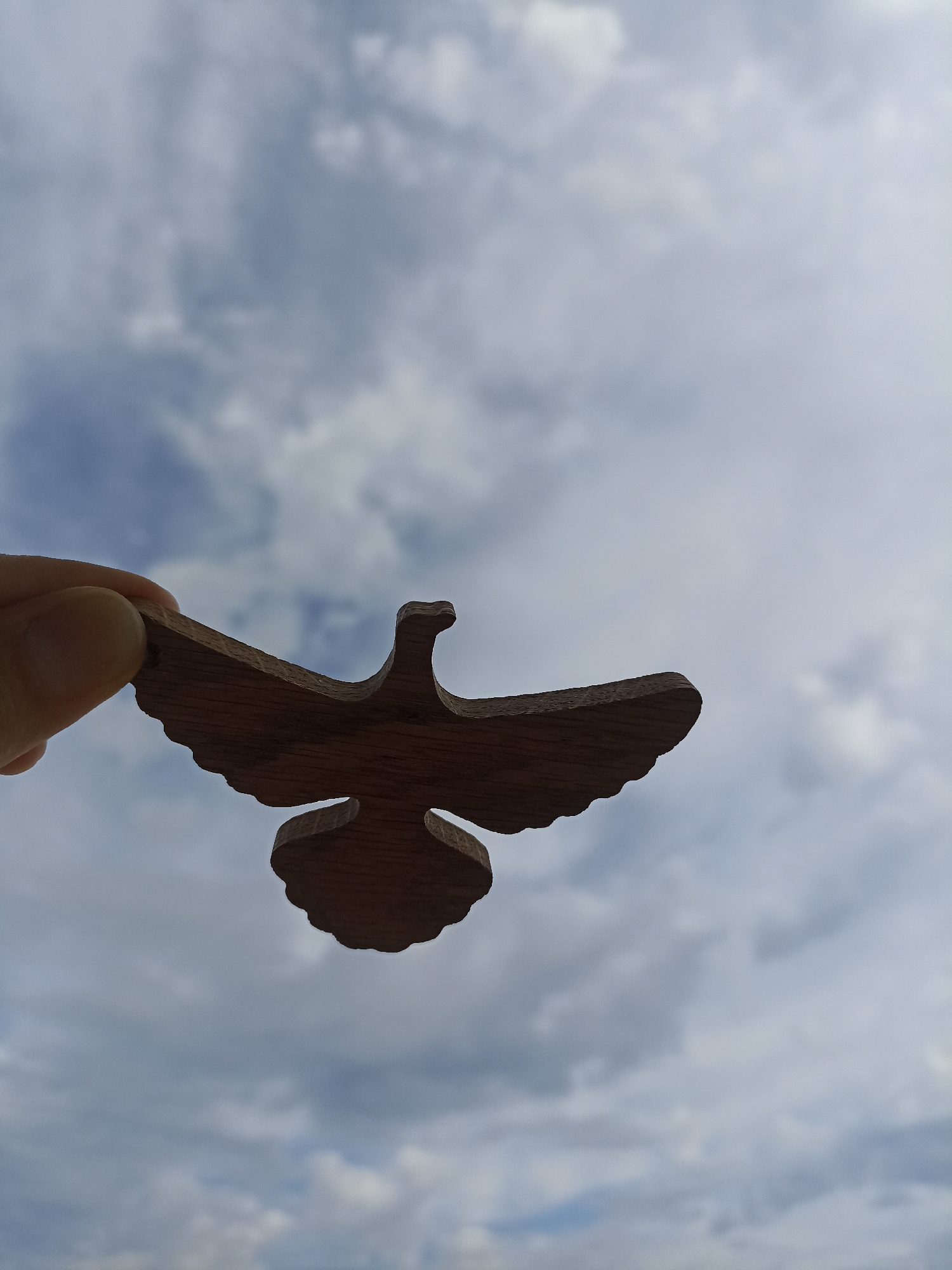 A close-up, low-angle shot captures a dark brown wooden silhouette of a dove with outstretched wings being held by a human thumb and index finger. The dove is positioned in the center of the frame, with its head facing left. The background is a cloudy sky, with patches of blue peeking through. The lighting suggests it is daytime. There are no discernible landmarks or identifying features that would indicate a specific location in Novosibirsk, Russia.