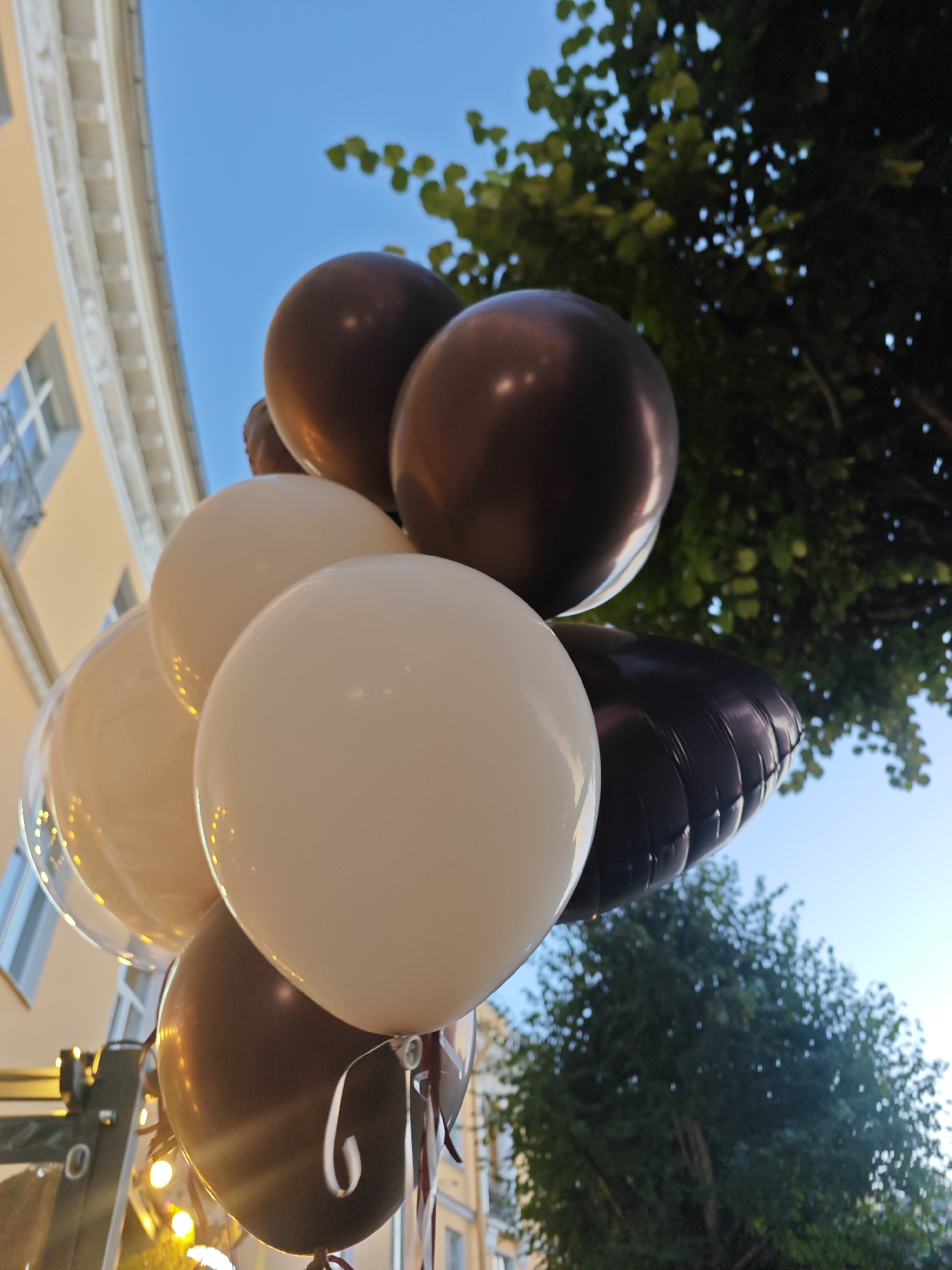 A cluster of balloons, predominantly in shades of brown, cream, and white, floats against a bright blue sky. The balloons are tied together with thin ribbons. In the background, the ornate facade of a building, likely a historical structure in the city of Pushkin, Russia, is visible on the left, featuring classical architectural elements and windows. Lush green foliage from trees encroaches on the right side of the frame, suggesting an outdoor setting, possibly a park or a street lined with trees. The lighting indicates it is daytime, with sunlight reflecting off the smooth surfaces of the balloons and the building. There are no visible people in the immediate foreground, but the overall atmosphere suggests a celebration or an event.