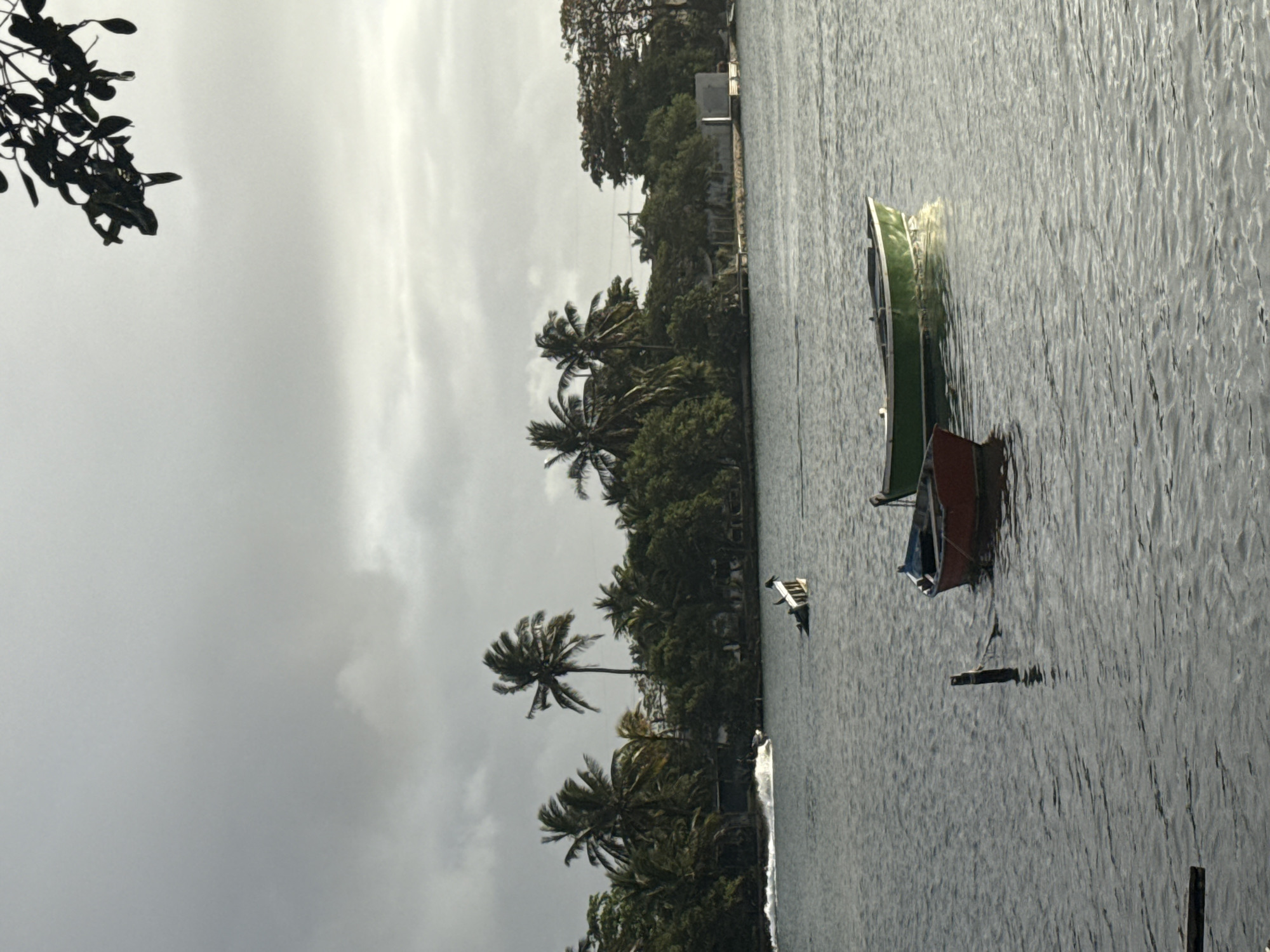 The image depicts a serene water scene, possibly in Cabo Frio, Brazil, characterized by a body of water with several boats. The sky is overcast with thick clouds, suggesting a possibly humid or stormy day. Palm trees and dense green foliage line the distant shore, with a few structures, possibly buildings or docks, visible amongst the vegetation.
In the foreground, two small boats are floating on the water. One is a red boat, appearing to be empty. Beside it, a green boat is also empty. Further in the background, a jet ski is creating a wake as it moves across the water, suggesting activity and movement. Another partially submerged object or structure is visible in the middle ground of the water. The water itself is rippled, reflecting the muted light from the sky. A few dark branches from a tree overhang the top right of the frame.