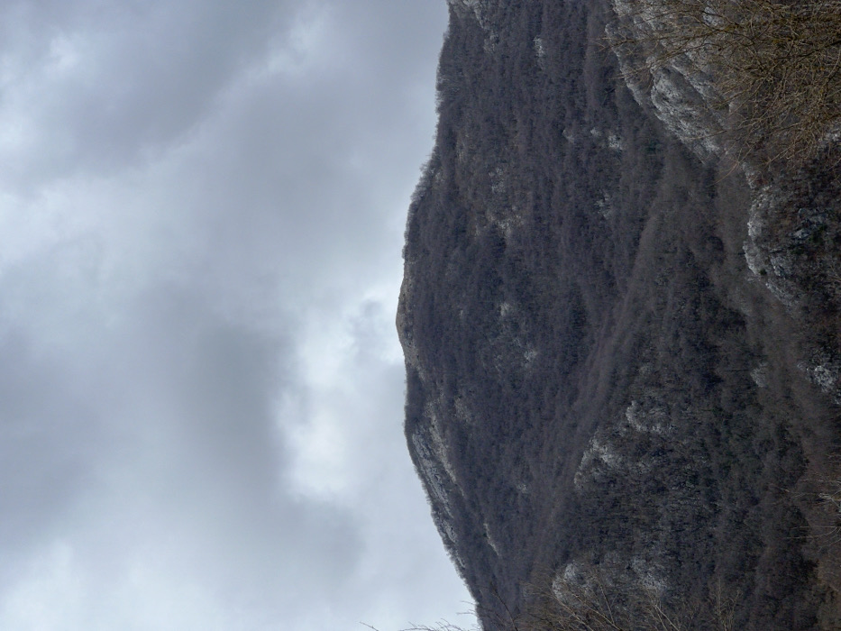 The image presents a wide view of a mountainous landscape located in Vrela, Montenegro. The central feature is a prominent mountain, its slopes densely covered with deciduous trees in a dormant, leafless state, indicating either winter or early spring. Scattered patches of light grey rock formations, possibly limestone or residual snow, are visible on the mountain's terrain, particularly on the upper left and lower right sections. The summit of the mountain appears rounded. The upper third of the image is dominated by an unbroken expanse of heavy, grey overcast clouds. Bare branches from unseen foreground vegetation are present at the extreme left and right edges of the frame. There are no human figures, animals, or man-made structures visible in the scene.