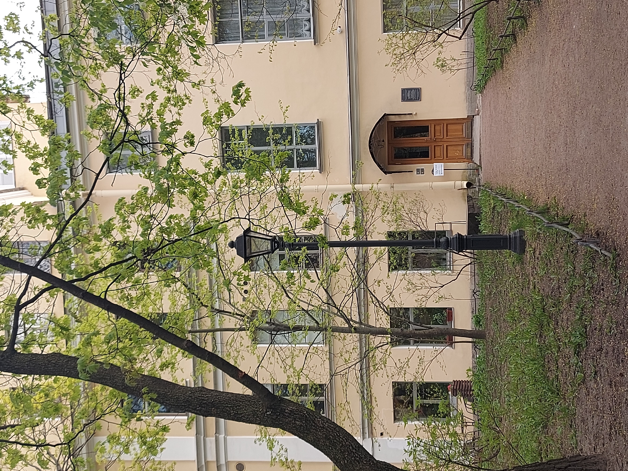The image depicts a four-story building with a light beige facade, likely located in Saint Petersburg, Russia. The building features numerous windows with dark frames and a prominent arched doorway with wooden double doors. A small black plaque is visible above the doorway. A classic black lamppost stands in front of the building, partially obscured by a large tree with fresh green leaves. A gravel path runs along the right side of the building, bordered by a low metal fence and patches of green vegetation. The overall environment suggests a historical or academic setting within a city park or garden. There are no people visible in the scene.