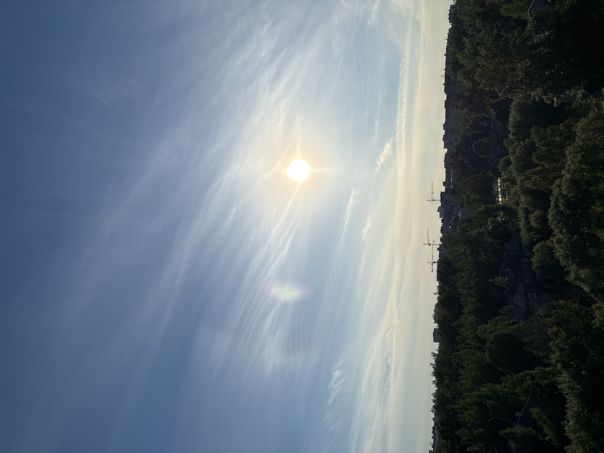 A view of a city skyline with trees in the foreground and cranes in the distance under a partly cloudy sky. The sun is visible in the sky, causing a lens flare. The image is taken from a high vantage point, looking out over a densely wooded area with buildings peeking through the trees. There are no people or animals visible in the image. The overall scene suggests an urban or suburban environment.