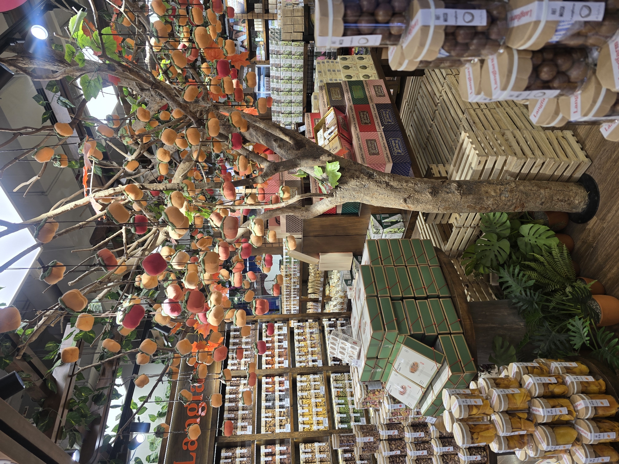The image depicts a market stall in Nha Trang, Vietnam, featuring a decorative tree adorned with numerous artificial persimmons. The stall is filled with shelves stocked with various food items in jars and boxes, suggesting a retail environment. In the foreground, stacks of jars containing dried fruit and nuts are visible, along with gift boxes. The background shows more shelves with packaged goods. The overall scene is a well-organized display of products within a store.