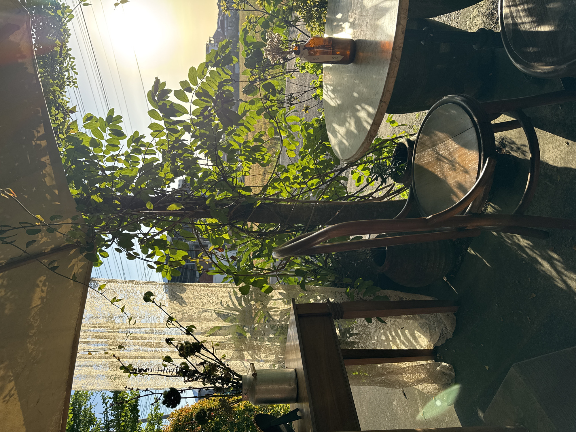 The image shows a sunlit outdoor café in North Kuta, Indonesia. A round table with a brown glass bottle on it is partially visible. A wooden chair sits beside the table. A plant grows beside the table. In the background, there is a sheer curtain hanging behind a wooden structure holding a metal bucket with dried flowers. Vegetation is visible beyond the curtain, and overhead power lines are seen in the distance. The lighting suggests it is either early morning or late afternoon.