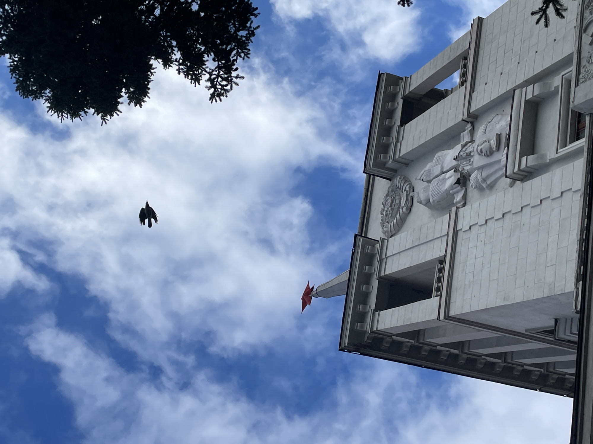 A low-angle shot captures a bright, daytime scene. Dominating the right side of the frame is a section of a large, white, art-deco-style building, ornately decorated with relief sculptures. A red star adorns the building's corner. A dark bird, wings extended, is mid-flight in the center-left of the frame, set against a background of blue sky filled with streaky white clouds. Silhouetted tree branches are visible in the upper left corner.
Based on the red star and architectural style, this appears to be a building in Yekaterinburg, Russia, potentially a government building or a landmark from the Soviet era.