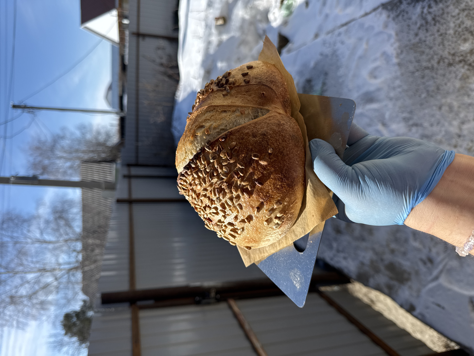 A gloved hand holds a loaf of bread covered in seeds on a spatula outdoors. The background shows a snowy area, a fence, and a building. The image was taken in Высокий, Russia.