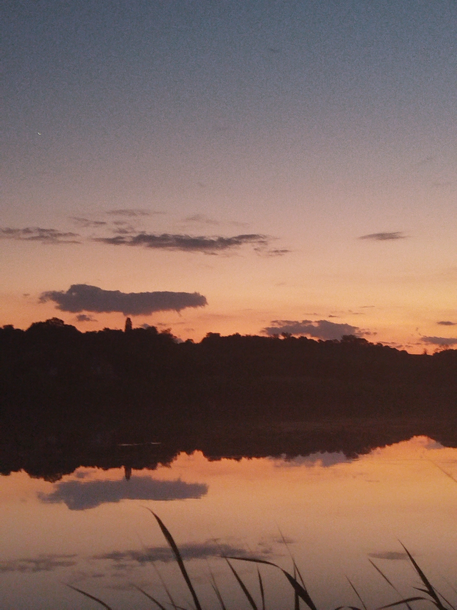The image shows a sunset over a body of water, likely a river or lake, in Ustyvytsia, Ukraine. The sky transitions from a deep blue at the top to a soft orange and pink near the horizon. A thin crescent moon is visible in the upper left portion of the sky. Silhouetted against the colorful sky is a tree line that forms the background of the scene, with what appears to be a small tower or spire emerging from the trees. The water in the foreground perfectly reflects the sky and the silhouetted landscape, creating a mirror image. Some blades of grass are visible in the very bottom foreground, slightly out of focus. There are no people or animals visible in the image. The overall atmosphere is tranquil and serene, characteristic of a sunset.