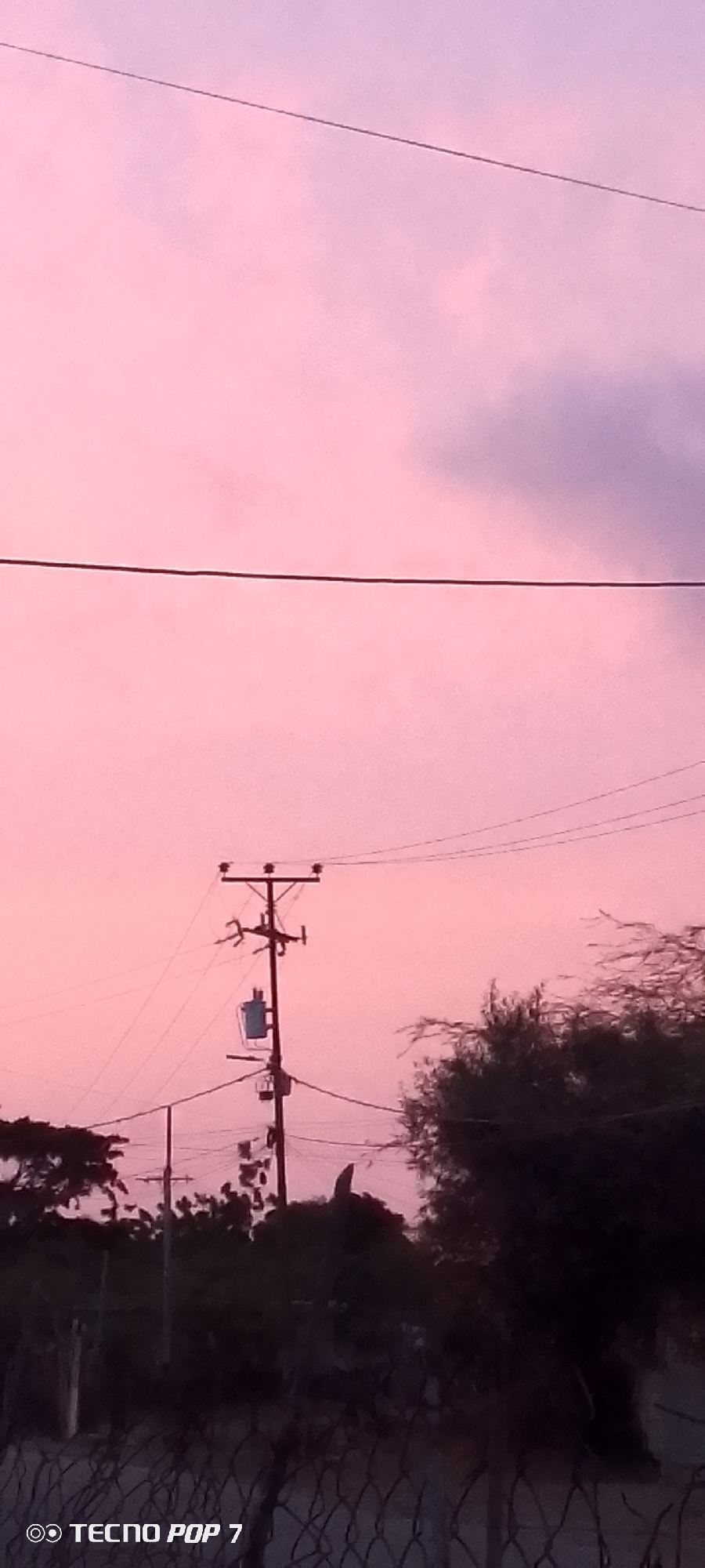 The image depicts an outdoor scene with a prominent telephone pole in the center, supporting wires and a transformer. The sky is a soft pink hue, indicative of twilight or dawn, with some darker cloud formations visible. Silhouetted trees and foliage are present in the foreground and background, suggesting a rural or semi-urban environment. The bottom of the image shows a chain-link fence and a watermark reading "TECNO POP 7". The scene appears calm and static, with no visible people or ongoing actions. The overall impression is one of a peaceful, perhaps deserted, setting at dusk or dawn.