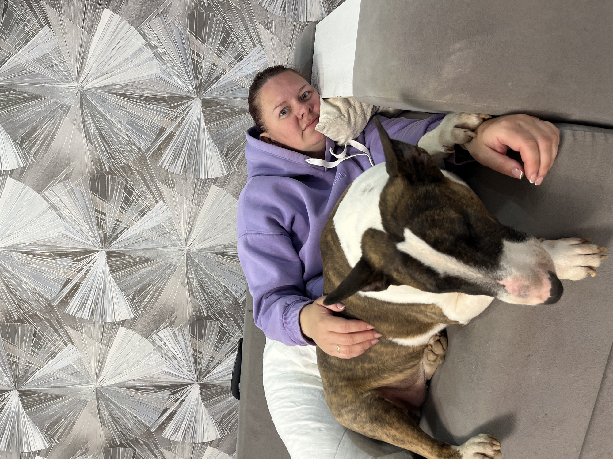 A woman in a purple hoodie and white pants is lying on a gray sofa in what appears to be a residential setting in Chaikovsky, Russia. She is holding a brindle and white bull terrier dog. The background includes a wall covered in patterned wallpaper.