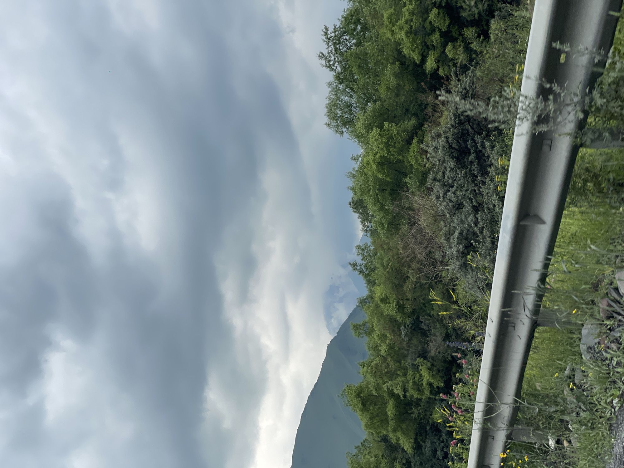 The image depicts a cloudy, overcast sky above a verdant landscape. In the foreground, a silver guardrail runs horizontally across the frame, separating the road from the vegetation. Lush green trees and bushes form a dense line behind the guardrail, with patches of wildflowers, including yellow and pink blooms, interspersed among the greenery. In the background, rolling green mountains rise, partially obscured by mist and clouds, suggesting a natural, possibly mountainous, environment. The overall scene conveys a sense of natural beauty under a somber, cloudy sky. This scene is consistent with views found in the vicinity of Stepantsminda, Georgia, a town known for its dramatic mountain scenery.