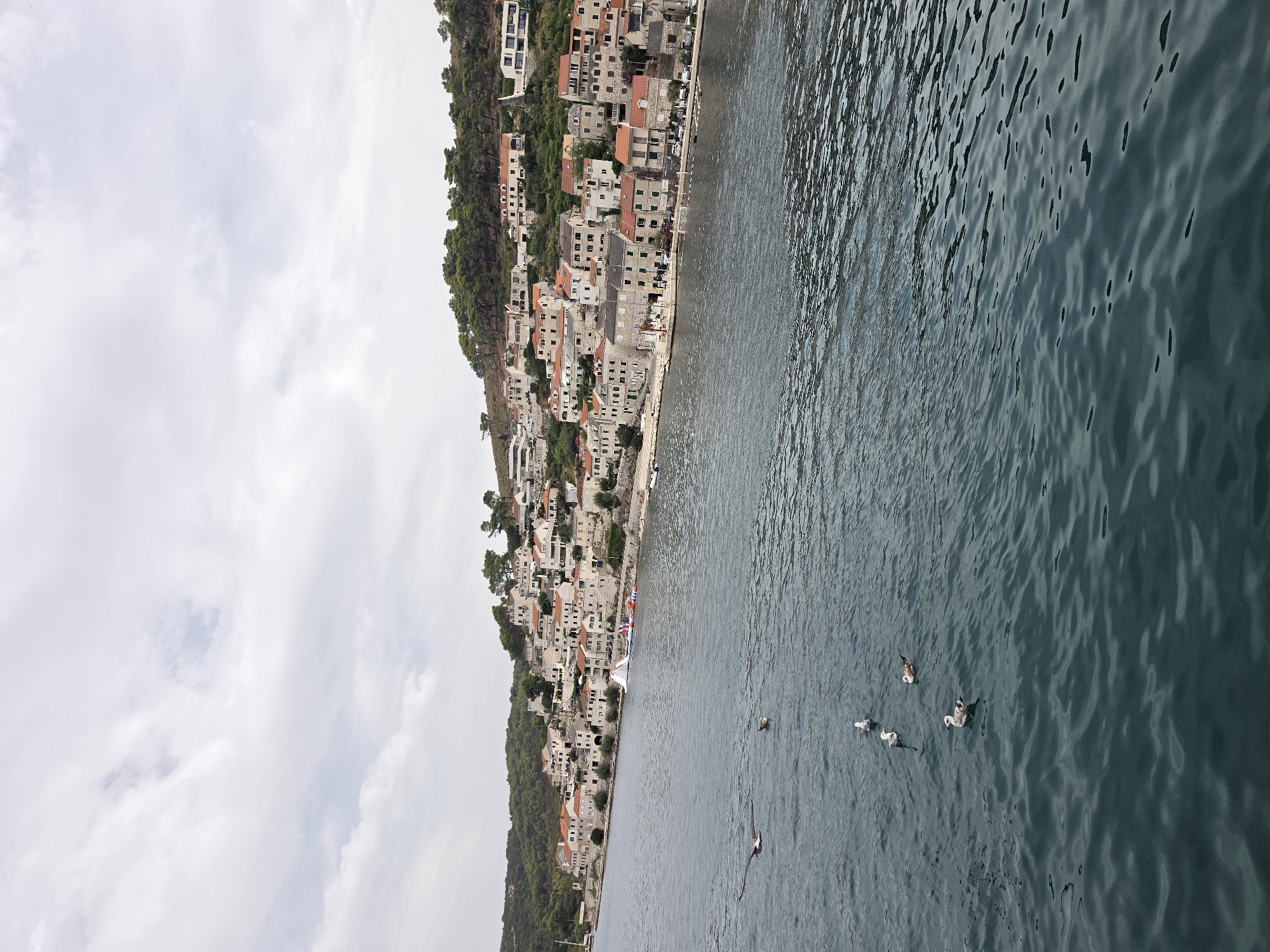 A panoramic view captures the seaside town of Pučišća, situated in Općina Pučišća, Croatia. The town is nestled on a hillside overlooking a body of deep blue water. Buildings with terracotta roofs and pale facades are densely packed along the coastline and ascend the slope. Lush green trees cover the upper parts of the hill behind the town. In the foreground, several seagulls are present on the water, with one in flight, its wings outstretched. The sky above is overcast with white and gray clouds.