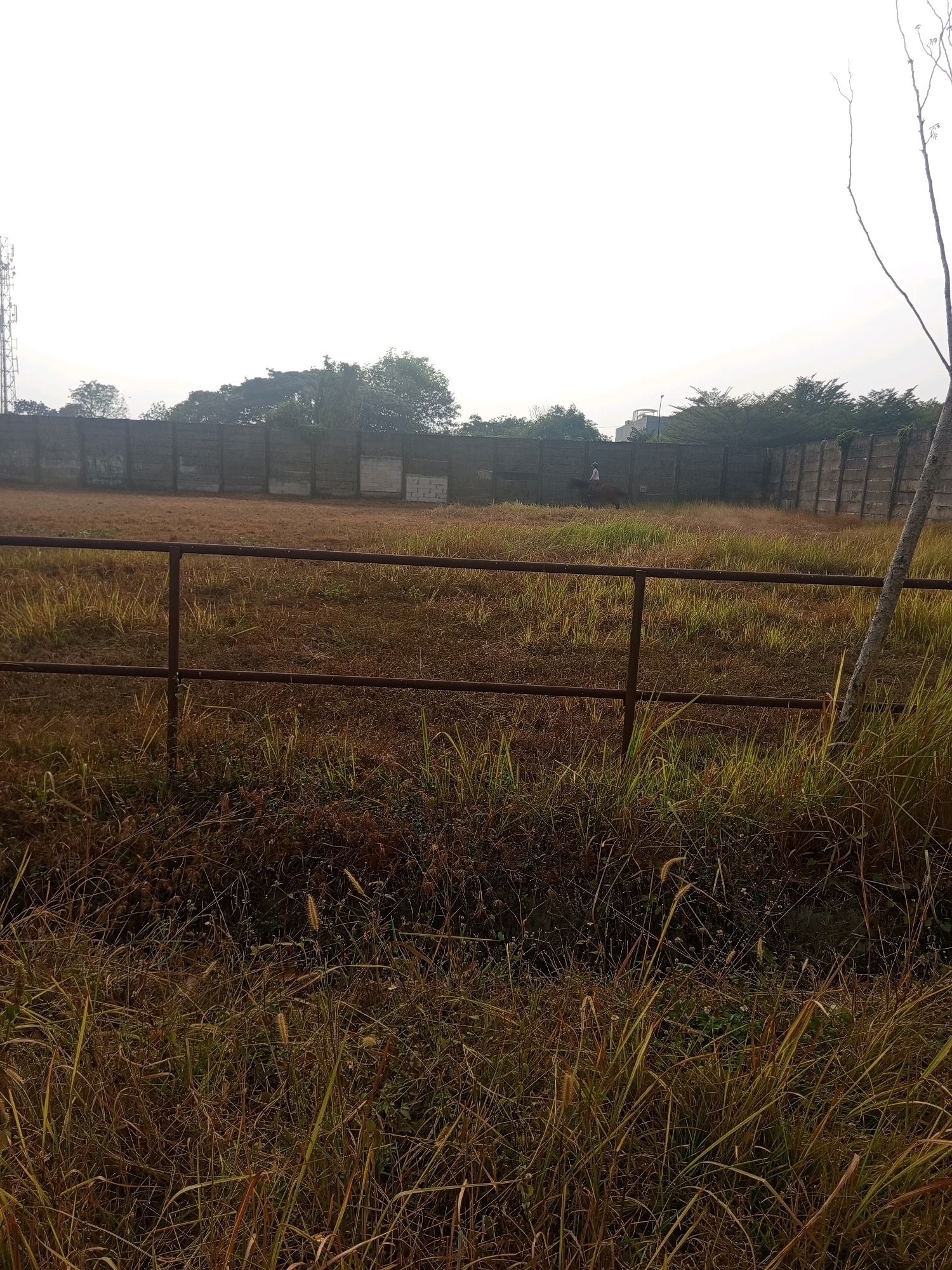 The image depicts an outdoor scene, likely a vacant lot or undeveloped area, bordered by a concrete wall. The ground is covered in dry, brown grass and other vegetation. A rusty metal fence runs horizontally across the mid-ground of the image. In the distance, a cell tower is visible to the left, and trees line the top of the concrete wall. A person on horseback is seen in the middle ground to the left, and a bare tree trunk is present on the right side of the image, appearing to lean into the frame. The sky is overcast and bright. The scene appears to be located in West Jakarta, Indonesia, as indicated by the presence of a cell tower and the style of construction.