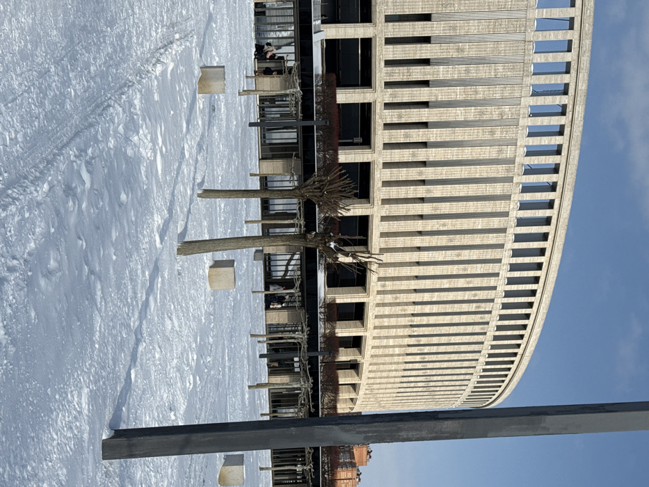 An outdoor scene depicts a snow-covered plaza in front of the Krasnodar Stadium, located in Plodorodny, Krasnodar, Russia, under a clear blue sky. The prominent subject is the stadium's large, curved, light-beige facade, characterized by numerous vertical textured panels and rectangular window-like openings across its upper and lower sections. Below the main facade, a darker, recessed ground level features multiple glass-fronted entrances and supporting pillars.
The foreground consists of a flat expanse of undisturbed snow, marked by visible footpaths and tire tracks. Scattered across this snow are several small, deciduous trees with pruned, bare branches, casting long shadows to the right. Also present are several light-colored, roughly cubic concrete blocks. To the far right, a tall, dark grey rectangular utility pole or mast stands vertically, partially obstructing the view of the stadium.
In the midground, near the stadium's lower level, several dark vertical posts support a dark, linear canopy structure. A few indistinct human figures, appearing as dark shapes against the building's lighter facade, are visible near the entrances on the left side, indicating foot traffic. The scene suggests a clear, cold winter day.
