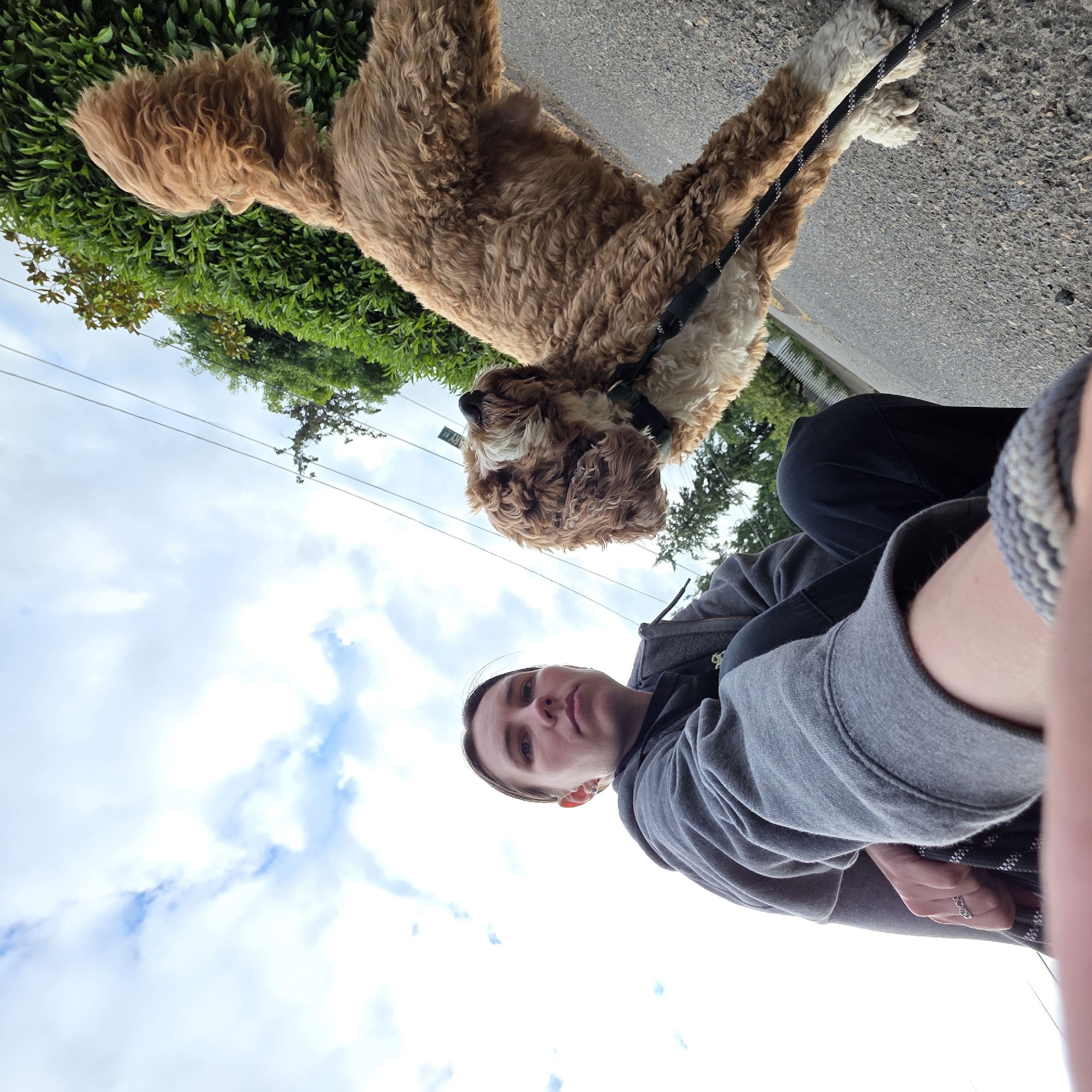 In an exterior, low-angle, wide shot, a young person wearing a gray hooded sweatshirt and black pants sits on the ground next to a golden-brown, fluffy dog on a leash. The person is looking at the camera with a neutral expression, and their left hand rests on their leg, adorned with a silver ring. The dog is positioned to the right of the person, looking upwards and slightly away from the camera, with its body in motion. Behind them, a dense green hedge and trees line a paved road. Overhead, a cloudy sky with patches of blue is visible, along with power lines. A street sign reading "W HOLGATE ST" is partially visible among the trees. The scene appears to be in a residential neighborhood in Portland, Oregon, United States of America.