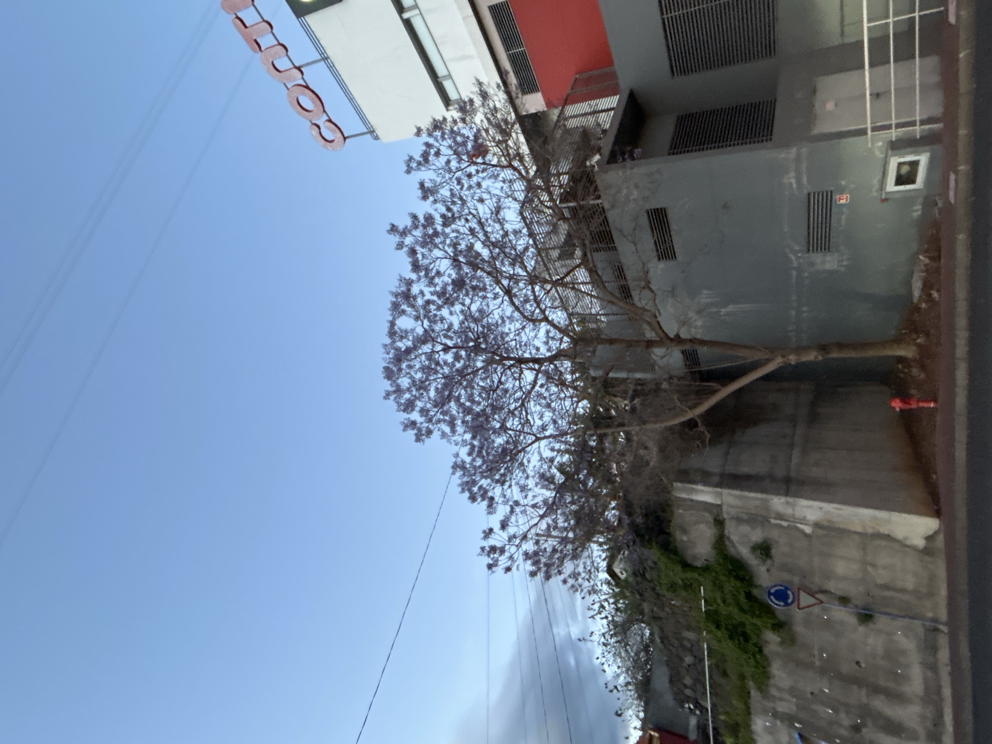 The image shows a view in Câmara de Lobos, Portugal, looking upwards toward a building. The sky is clear blue. A tree with purple blossoms stands in front of the building. The building appears to be multiple stories tall, with grey and red sections. A sign with large white lettering that appears to spell "COUTO" is mounted on the building. A concrete retaining wall runs along the right side of the image, with some vegetation growing on it, including a blue and white traffic sign. A red fire hydrant is visible on the right edge of the wall. Electrical wires are visible against the sky.