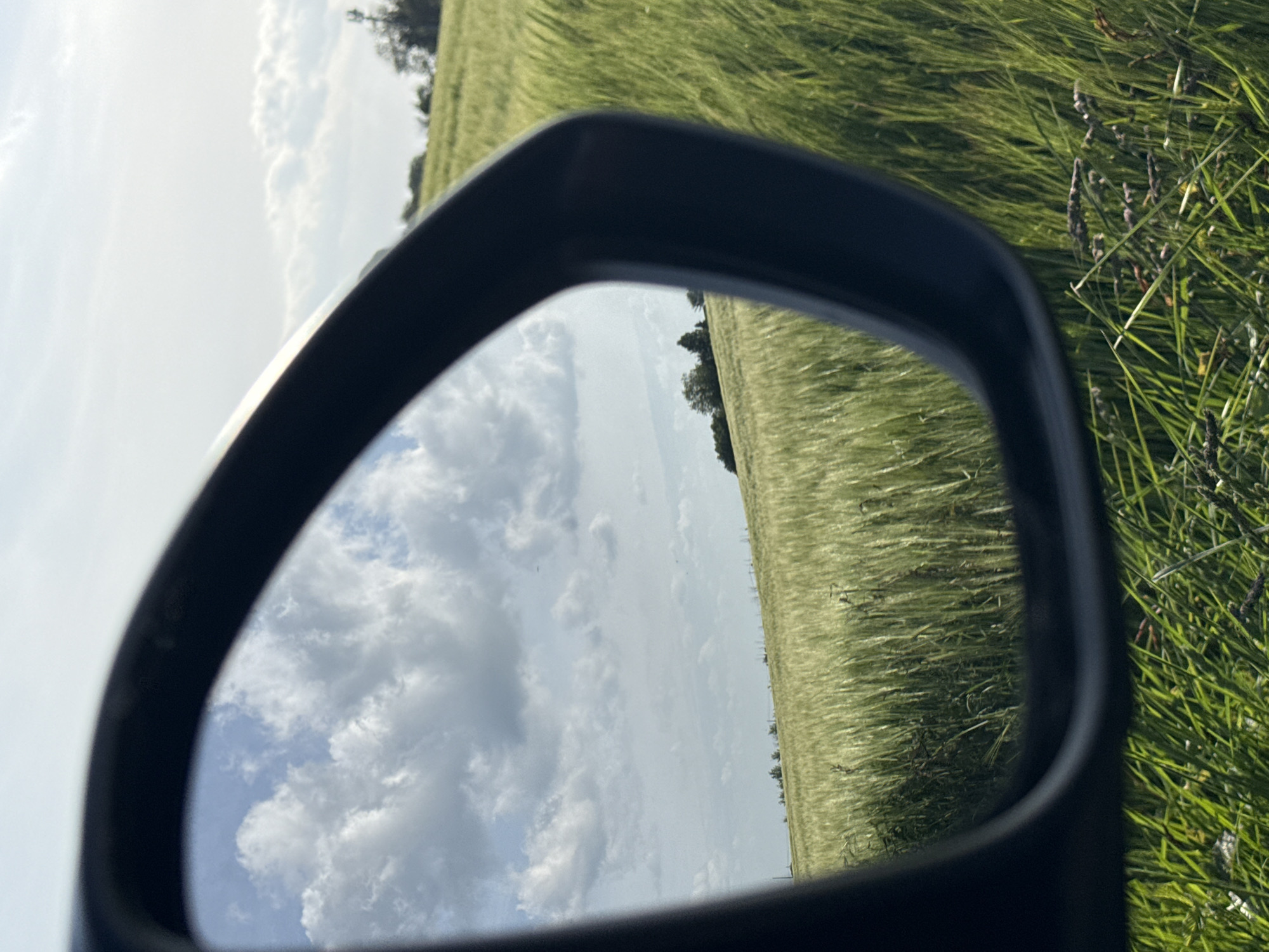 The image depicts a field of tall green grass, possibly wheat, viewed through a car's side mirror. The mirror's reflection shows a bright blue sky dotted with fluffy white clouds. The mirror frame is black. The grass fills the right portion of the frame, blurring slightly as it meets the mirror. There are no discernible people or actions visible. The environment seems rural. The location in Great Yarmouth, United Kingdom cannot be determined.