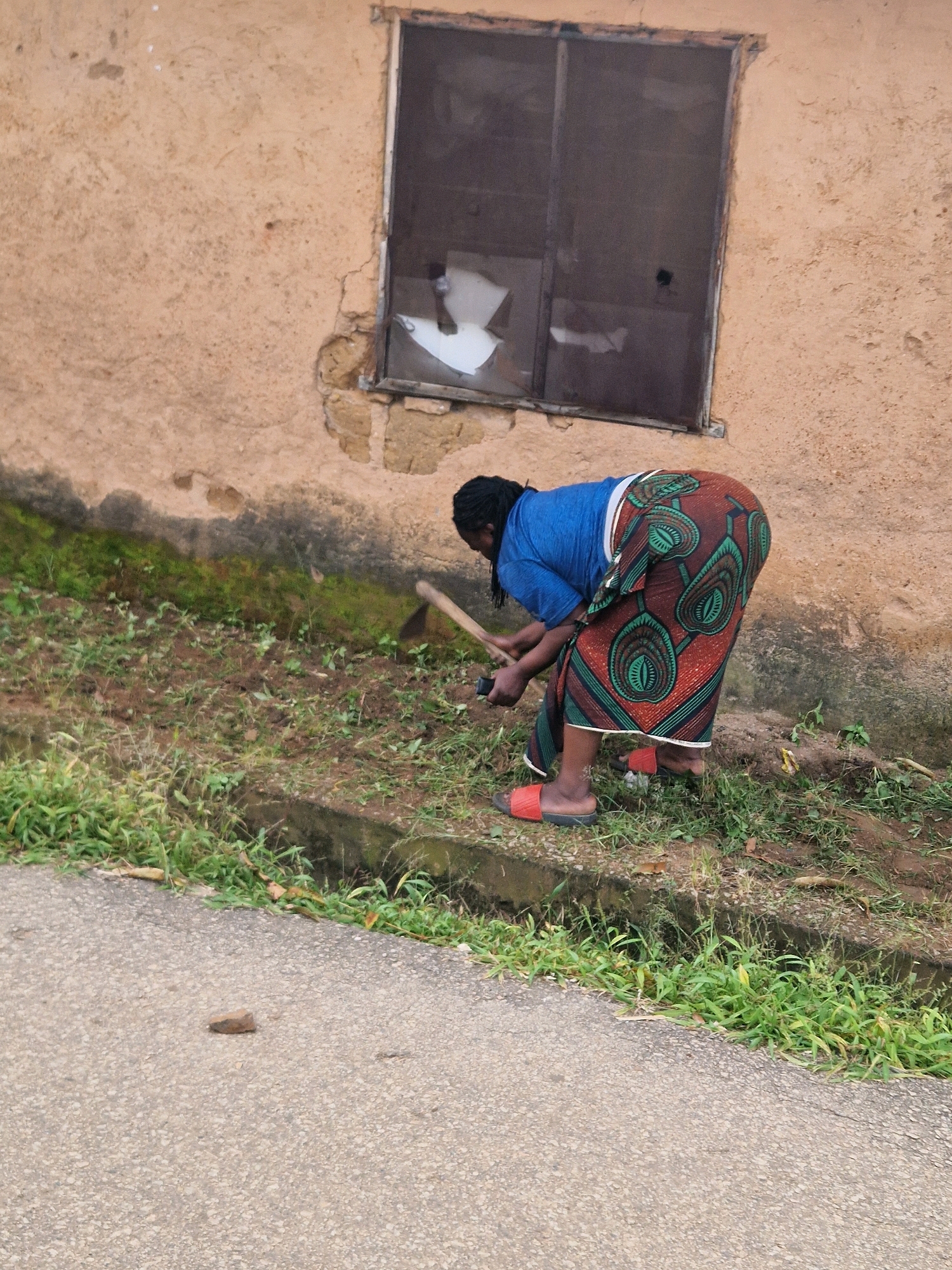 A woman is bent over with a hoe, digging in the dirt next to a building. She is wearing a blue shirt and a colorful skirt. The building has a broken window with what appears to be white debris inside. The ground around her is covered in dirt and patchy green vegetation. A paved road is visible in the foreground. The scene appears to be an outdoor area, possibly a residential or neglected property.