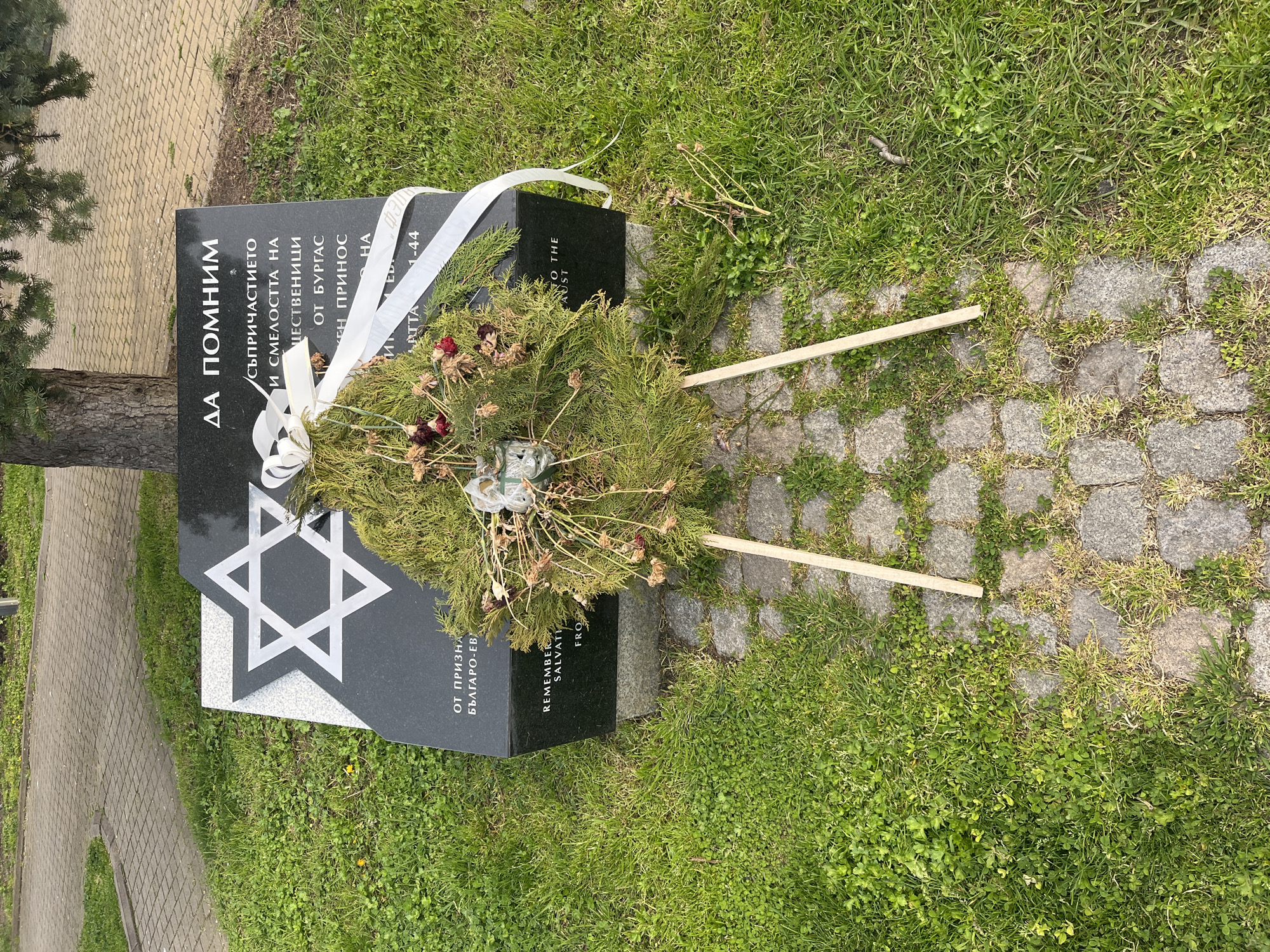 The image shows a black granite memorial stone, featuring a large white Star of David, set in a grassy outdoor area with a paved path nearby. A wreath made of evergreen branches and dried red flowers, adorned with a white ribbon, rests against the memorial, supported by two light wooden sticks. The ground around the memorial is covered with vibrant green grass and some cobblestone paving. A tree trunk is partially visible on the far left.
The memorial serves as a place of remembrance, likely commemorating events related to the Jewish community in Burgas, Bulgaria. The prominent Bulgarian inscription "ДА ПОМНИМ" translates to "LET US REMEMBER." Other visible Bulgarian text speaks of "the compassion and courage of citizens of Burgas," and mentions "in recognition of Bulgarian-Jewish," likely referring to the salvation of the Bulgarian Jewish population. Partial English text includes "REMEMBER," "TO THE," "SALVATI" (likely "SALVATION"), "AUST" (likely referring to the Holocaust), and "FRO" (likely "FROM"), indicating remembrance of the salvation of Jews from the Holocaust. The numerical inscription "1-44" likely refers to the years 1941-1944, a period significant to World War II and the Holocaust.
The scene suggests a solemn act of tribute or commemoration, reflecting on a historical event of rescue and bravery in Burgas, Bulgaria. The setting appears peaceful and well-maintained under natural daylight.