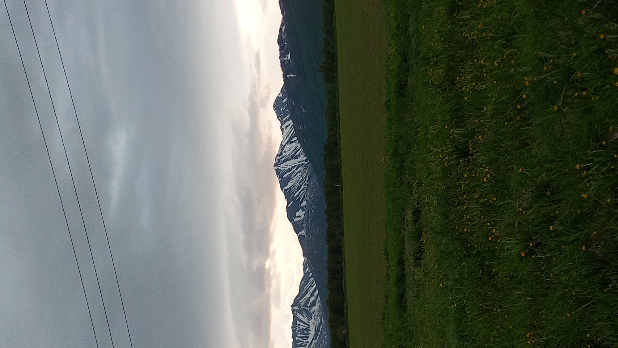 This media file depicts a mountainous landscape under a cloudy sky. The foreground features a vibrant green meadow dotted with small yellow flowers, suggesting a springtime or early summer setting. To the left of the meadow, a dark mountain range rises sharply, its peaks partially covered in snow. The sky is overcast with dramatic cloud formations, with patches of lighter sky breaking through, hinting at either dawn or dusk. Four dark power lines run diagonally across the left side of the image, disappearing into the sky. The overall impression is one of natural beauty and solitude, with the imposing mountains contrasting with the soft meadow. There is no visible text in the image. The scene appears to be set in a rural or wilderness area, possibly in the mountains of Lesnoi, Russia, given the provided location context.