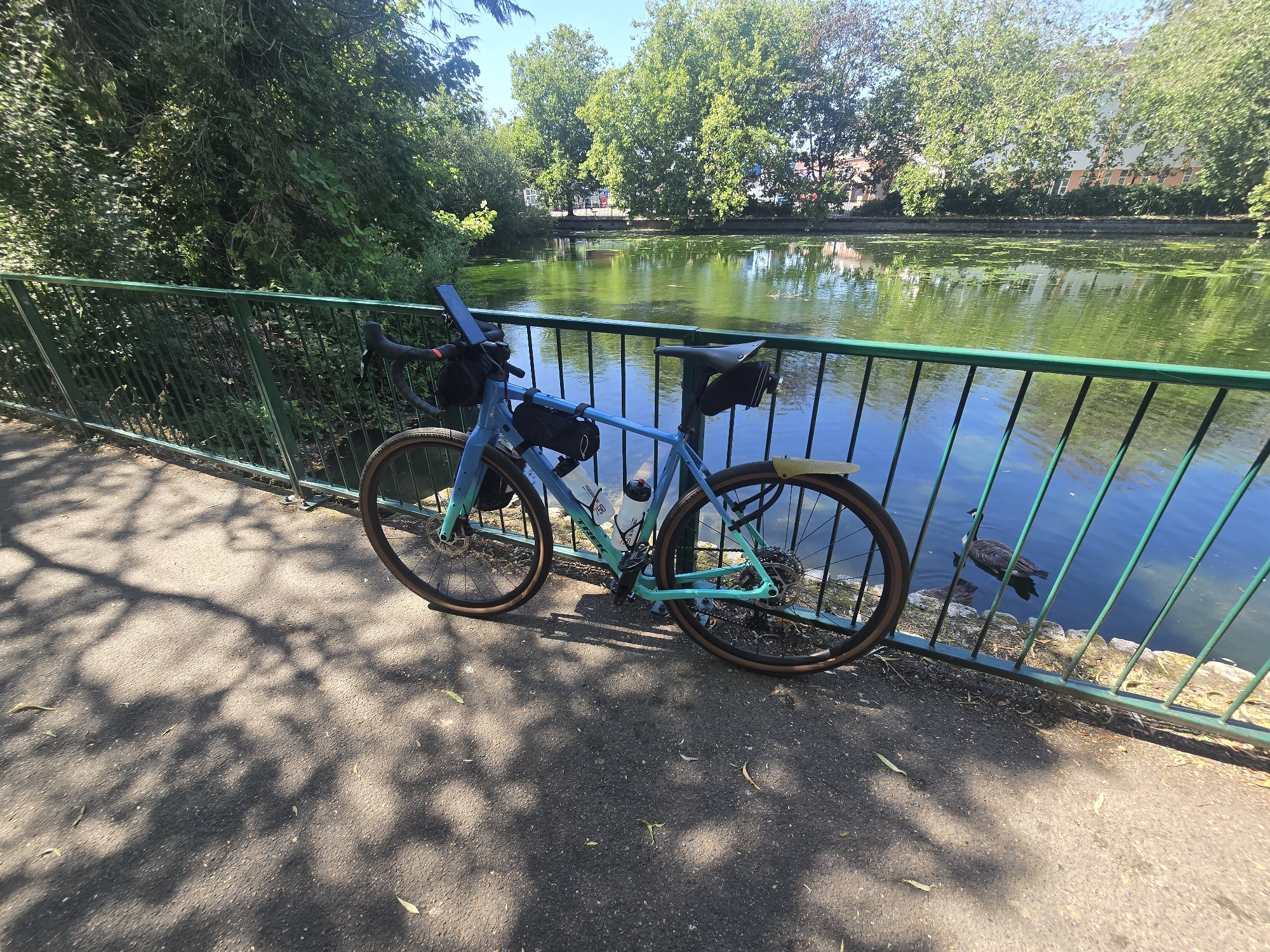 An outdoor, eye-level, medium shot shows a blue and teal gravel bike parked on a paved path beside a green metal fence. The bike is leaning against the fence, with its front wheel turned slightly to the left. It is equipped with two black handlebar bags, a black frame bag, a water bottle cage with a water bottle, and a yellow rear fender. The bike's tires are a light brown color. Two ducks are visible in the water behind the fence. The water is green and calm, with some vegetation floating on the surface. Trees with green leaves line the far bank of the water, and buildings are visible behind the trees. The path is in shadow, with dappled light filtering through from unseen trees. The sky is clear and blue. The scene appears to be a park or a waterfront area within the city of Greater London, United Kingdom.