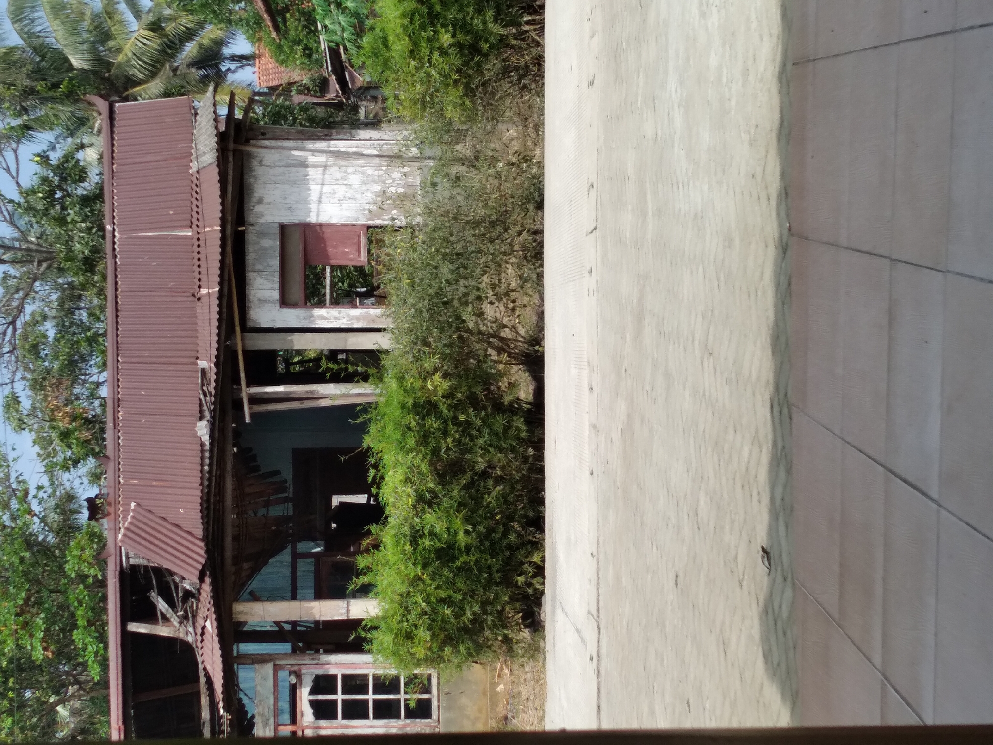 The image depicts a partially destroyed wooden structure with a rusted corrugated metal roof, likely a house, in Pandak, Indonesia. The roof is severely damaged, with sections caved in and exposing the internal wooden framework. One window on the left side of the structure is intact with white-painted panes, while another opening on the right appears to be a window with a reddish-brown shutter or frame. A thick green hedge runs along the front of the building, obscuring the lower portion of its walls. In front of the hedge, a paved walkway or road with a textured surface is visible. Beyond the structure, dense green foliage, including trees and palm fronds, suggests a tropical environment. The sky above is partially visible and appears cloudy. The overall scene conveys a sense of neglect and disrepair.