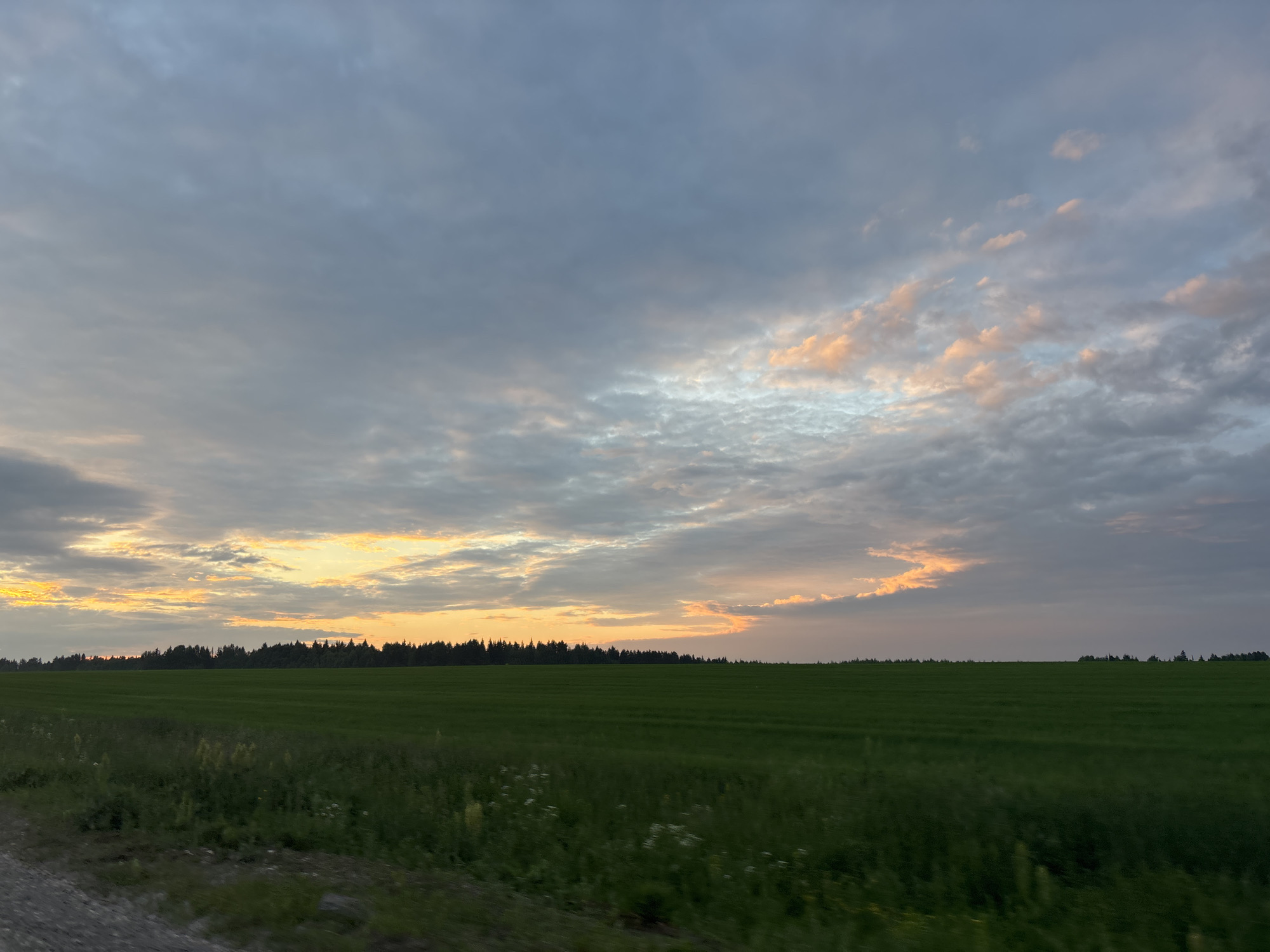 This image depicts a vast, flat landscape under a cloudy sky at what appears to be dusk or dawn. The sky is a blend of deep grays, with patches of soft orange and pink light breaking through the clouds near the horizon, suggesting the sun is low. Below the sky, a dark line of trees forms a dense forest that stretches across the middle ground. In the foreground, a large, vibrant green field occupies the majority of the lower half of the image. There are faint hints of smaller white wildflowers scattered within the green field. The very bottom of the image shows a gravelly, textured area that might be a road or a path. The scene is devoid of any human presence or visible animals. The location is identified as the city of Niva, Russia.