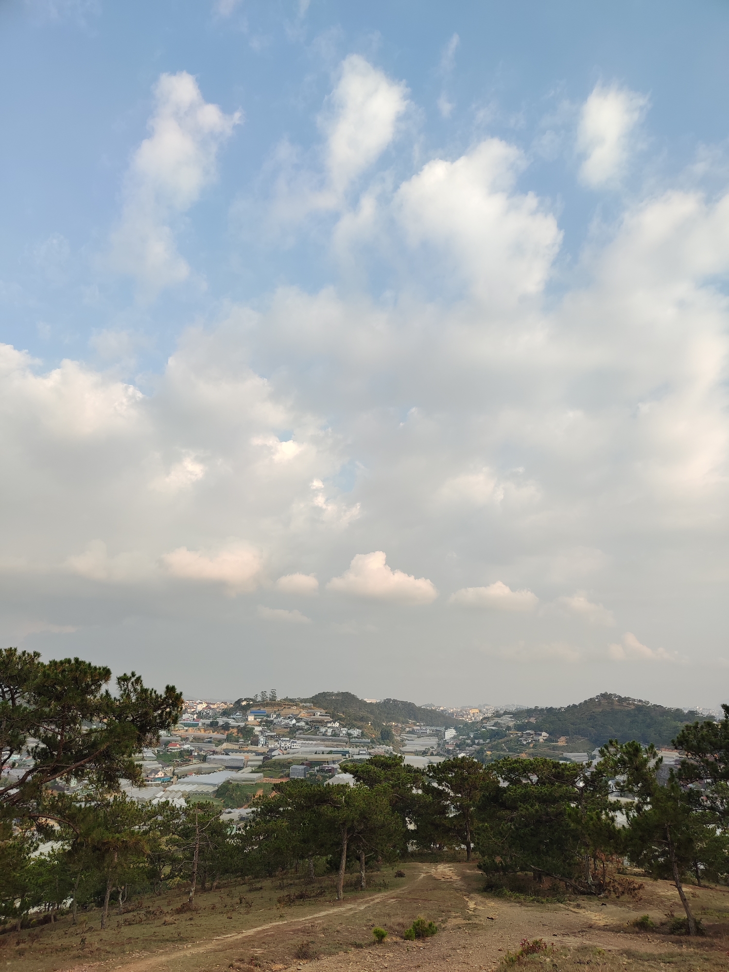 The image shows a hillside view in Lạc Dương, Vietnam, under a sky filled with scattered white and grey clouds. The foreground features a dry, earthen path winding through sparse vegetation and pine trees. In the midground, a dense concentration of greenhouses and low-rise buildings stretches across the landscape, interspersed with greenery. Further in the distance, the landscape slopes upward, indicating a hilly terrain, with more buildings dotted on the distant hills. No people are visible in the scene.