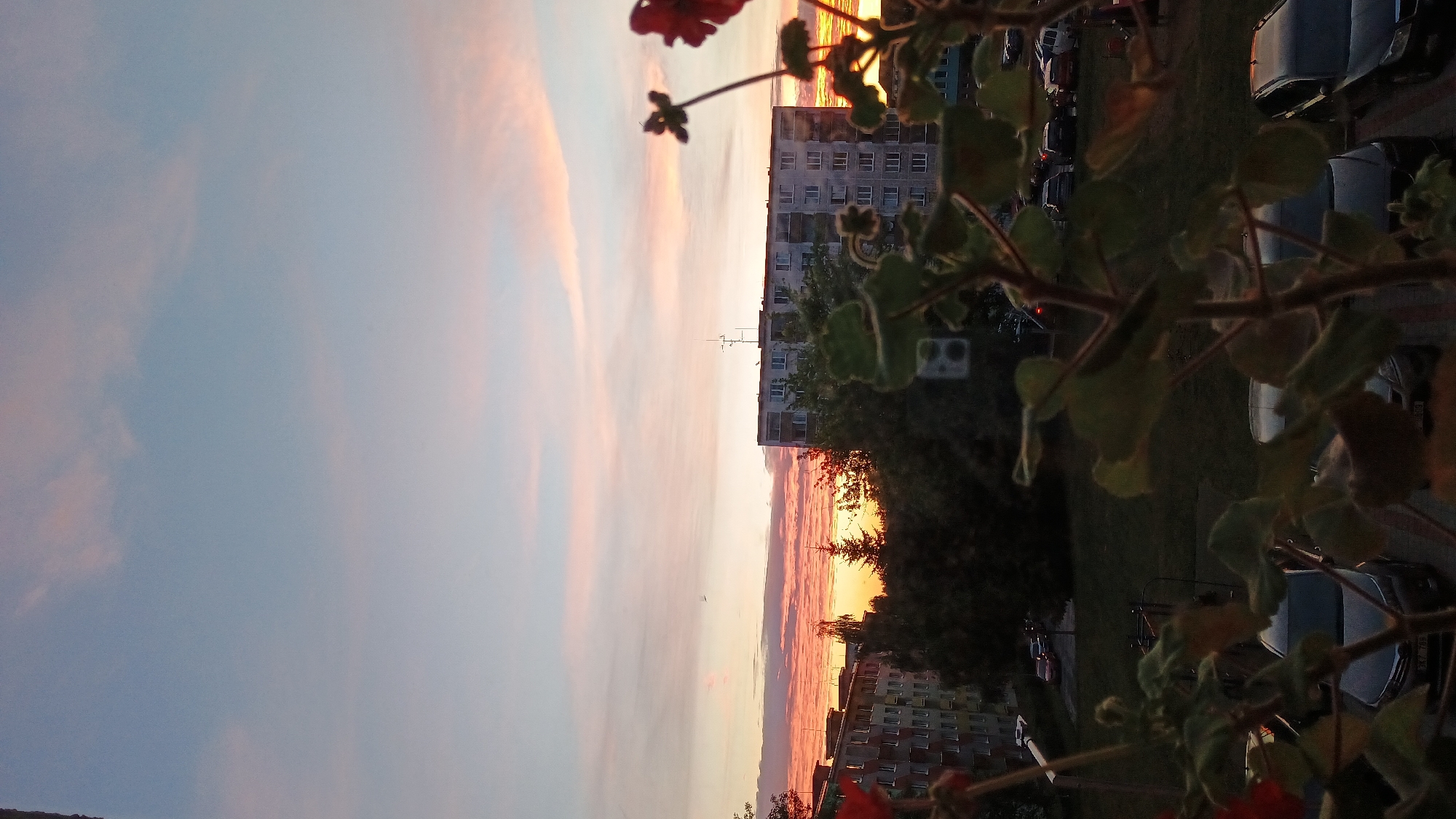 The image captures a sunset scene in Sokolov, Czechia. The sky is a canvas of soft pastels, with streaks of pink and orange clouds illuminating the fading light. In the foreground, the silhouette of a plant with green leaves and a hint of red flowers is visible, partially obscuring the view.
The main focus of the scene is a residential area with multi-story buildings. The architecture suggests a Soviet-era or similar design, typical of many Eastern European urban landscapes. The buildings are lined up, with windows reflecting the warm glow of the sunset. Behind the buildings, the sun is setting, creating a vibrant orange hue on the horizon.
In the middle ground, there is a patch of trees and greenery, adding a touch of nature to the urban setting. Further back, several cars are parked, their forms indistinct in the low light. The presence of parked cars and apartment buildings indicates an urban or suburban environment.
The time of day is clearly sunset, given the colors in the sky and the long shadows. The weather appears to be clear, allowing for a beautiful display of sunset colors. The overall mood of the image is serene and peaceful, evoking a sense of calm as the day ends. There are no visible people or animals in the frame, and no discernible text. The perspective is slightly tilted, adding a dynamic feel to the composition.
