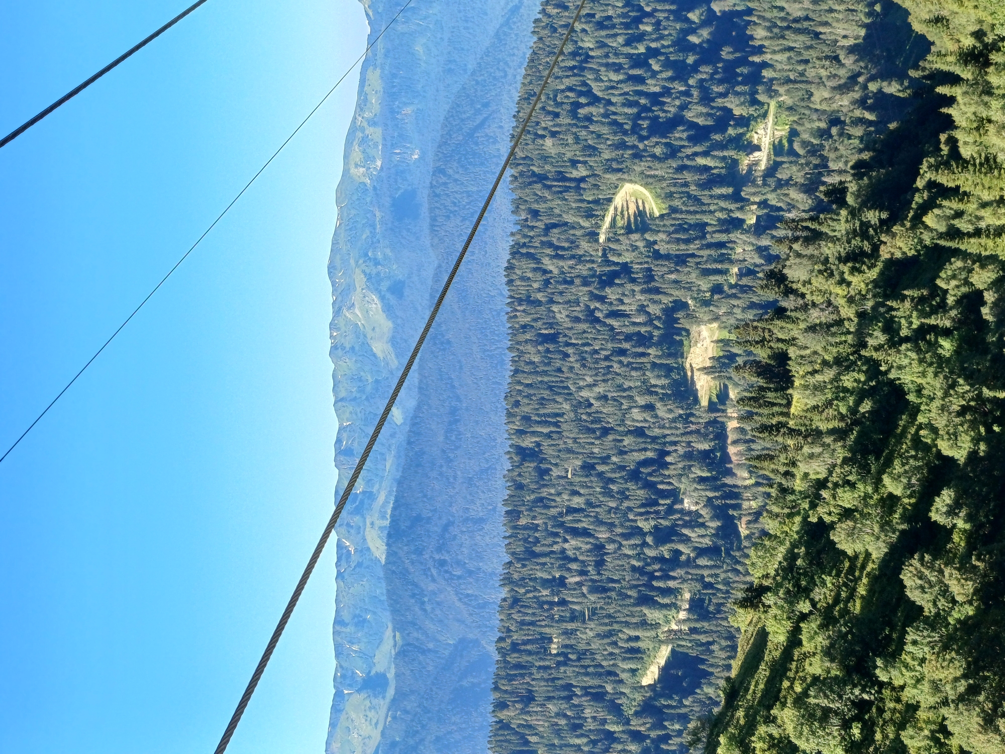 The image depicts a panoramic view of mountainous terrain covered in dense coniferous forest. In the foreground, a steep, sun-dappled slope is densely populated with trees. The midground features a vast expanse of dark green conifers stretching across a mountain slope, with a winding dirt road visible in the upper portion of this area. Beyond this forest, layers of progressively lighter blue mountains recede into the distance. The farthest mountain range has a snow-capped appearance and a jagged, rocky skyline. Two thick cables, likely part of a ski lift or gondola system, diagonally traverse the upper portion of the frame against a clear, bright blue sky. The scene is consistent with the natural landscapes found around Estosadok, Russia, a resort town in the Caucasus Mountains known for its ski resorts and natural beauty. There are no people or animals visible in the image.
