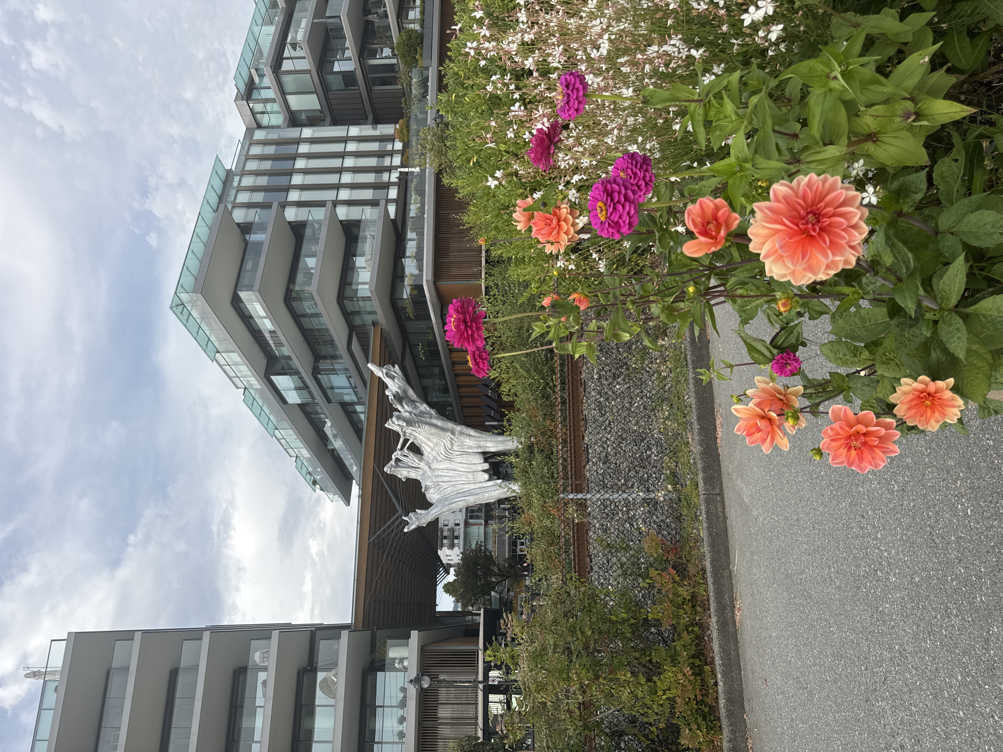 The image captures a scene in West Vancouver, Canada, featuring modern apartment buildings with balconies and glass facades, a large silver abstract sculpture, and a foreground of vibrant flowers, including pink and orange dahlias. A gray asphalt path runs along the bottom of the frame, bordered by a chain-link fence and dense greenery. The sky is overcast with scattered clouds.