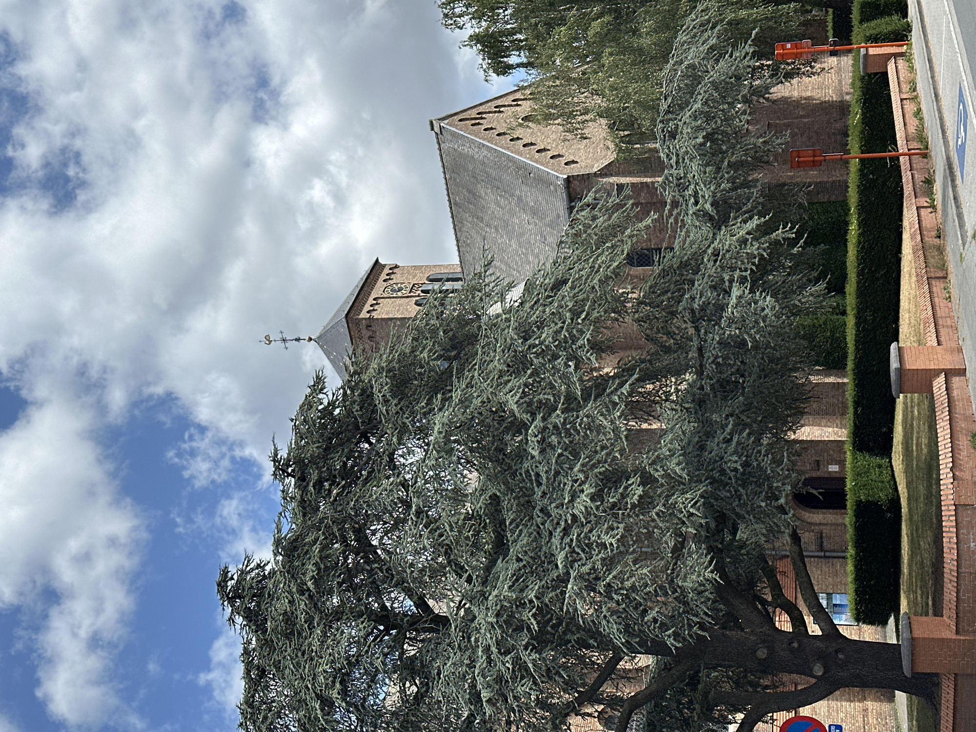 This image shows a view of St. Salvator's Cathedral in Bruges, Belgium. The cathedral is a large, brick building with a prominent bell tower. In the foreground, there is a large cedar tree with its branches spreading out over the scene. The sky is partly cloudy, with patches of blue sky visible. The street in front of the cathedral is paved, and there is a brick wall with a low hedge in front of the cathedral grounds. There are also two orange traffic signs with white symbols on poles. The overall impression is one of a peaceful and historic scene.