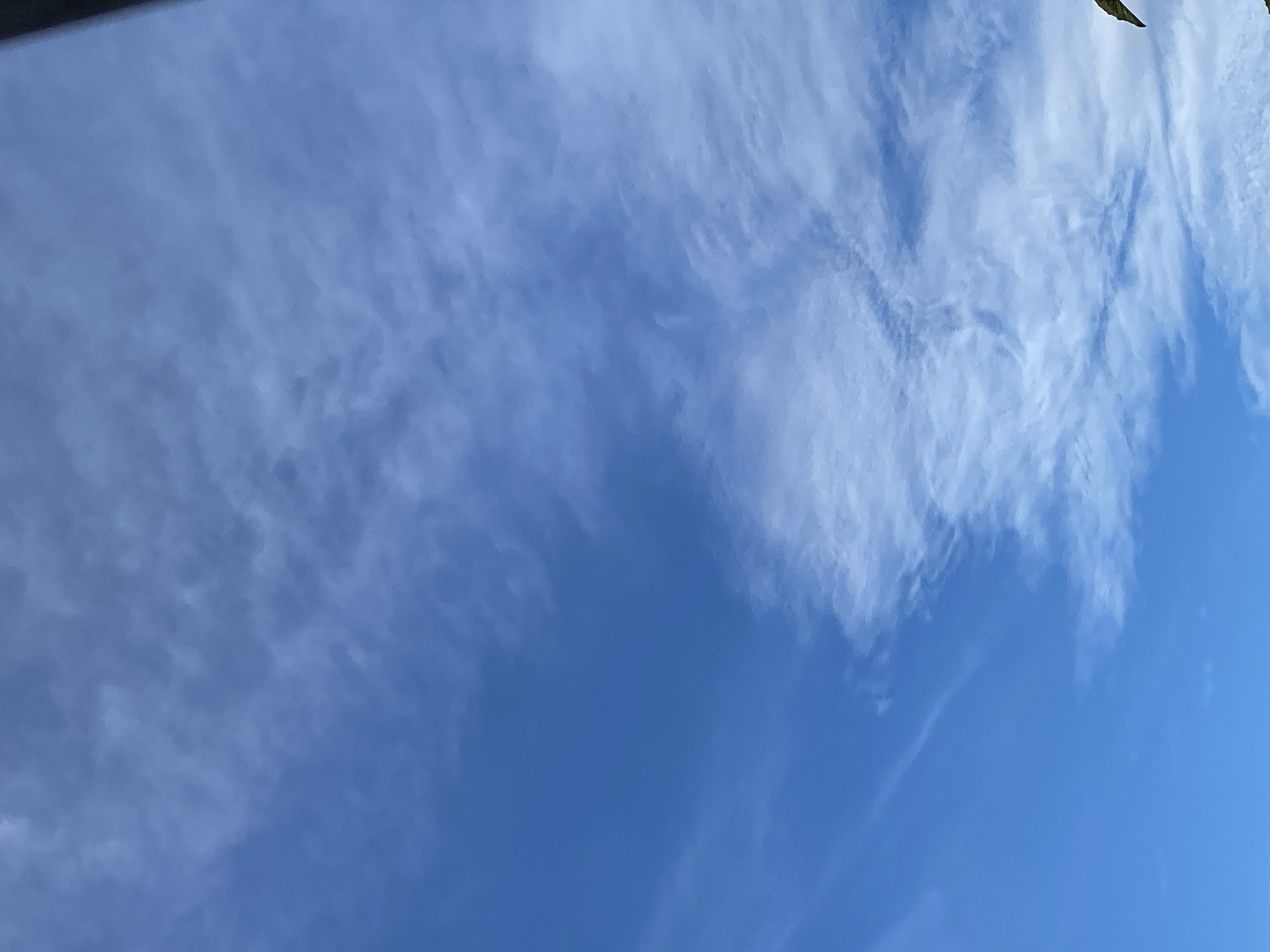 The image presents a daytime sky with a clear blue expanse punctuated by wispy, scattered clouds. The clouds appear thin and stretched, possibly cirrus clouds. A hint of green foliage is visible in the extreme upper right corner, suggesting the presence of trees or vegetation. The photo was taken in Tinaquillo, Venezuela.