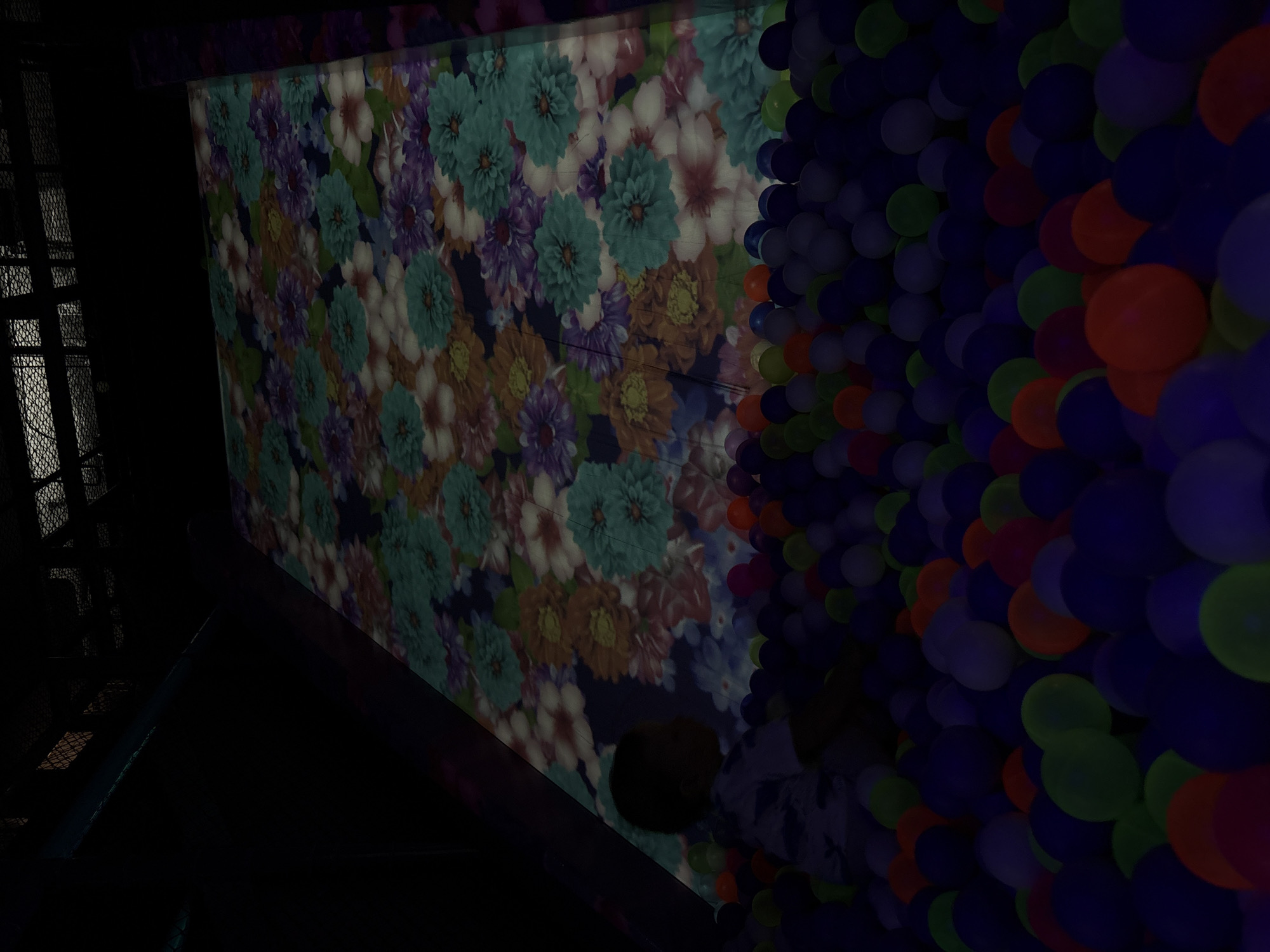 The image captures a dark, indoor scene. On the left side, a dark structure possibly made of metal, like fencing, is present. The central and right parts of the image are dominated by a wall covered with floral patterns on the left and a dense collection of multicolored balloons on the right. The balloons are primarily shades of blue, green, and red. The presence of a person or a child is suggested near the bottom center. There are no evident clues to indicate the location in Izhevsk, Russia.