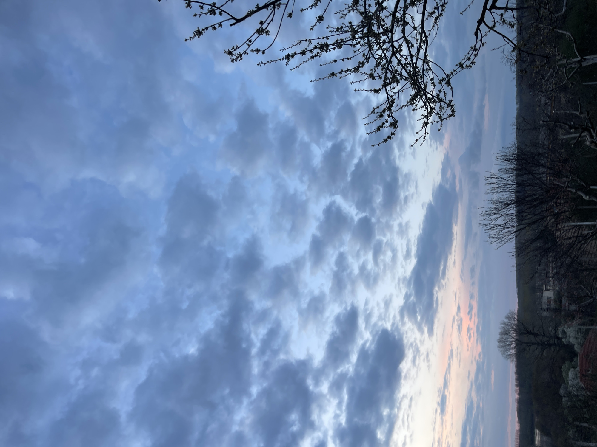 The image captures a twilight scene, with a predominantly cloudy sky taking up most of the frame. The clouds are various shades of gray and blue, with a hint of pink and orange near the horizon, suggesting the setting sun. Silhouetted tree branches are visible in the upper portions of the image, framing the sky. On the right side of the image, darker forms suggest a distant treeline and hints of residential structures. It is unknown if this picture was taken in Somovit, Bulgaria.