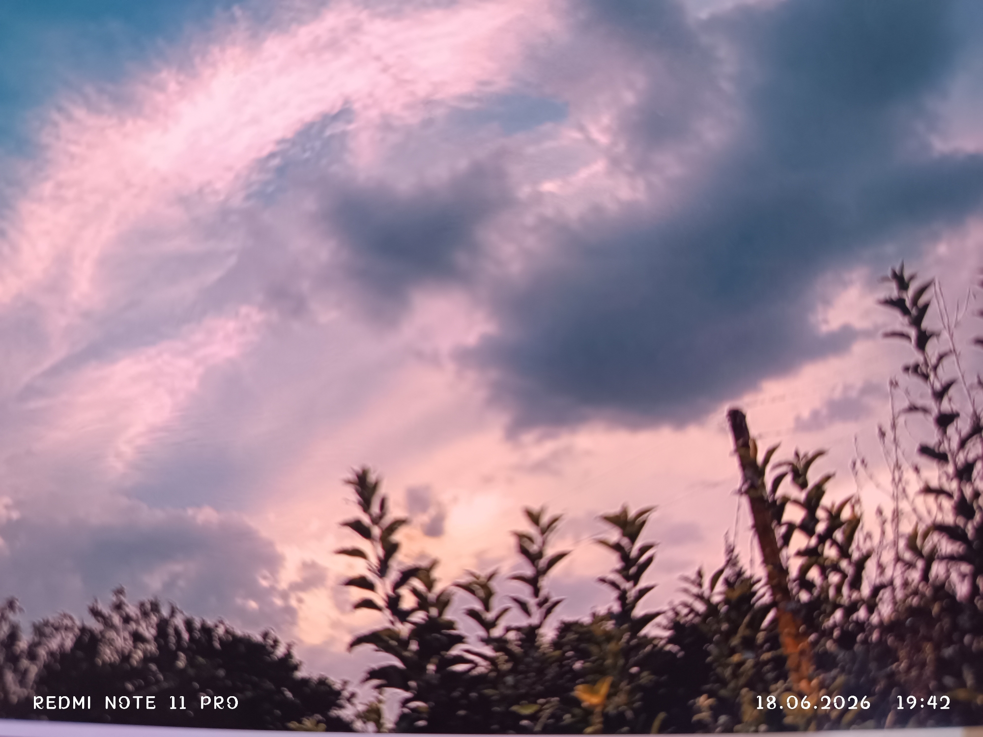 This image captures a sky filled with dramatic clouds at dusk, tinged with pink and purple hues from the setting sun. The sky transitions from a soft blue at the top to darker, more turbulent clouds in the middle, with lighter pink clouds swirling through. Below the sky, the silhouettes of trees and foliage create a dark, textured foreground. A wooden stake stands vertically on the right side, partially obscured by the branches of a plant. The scene appears to be outdoors, likely in a natural or garden setting.
The visible text in the lower portion of the image indicates "REDMI NOTE 11 PRO" on the left, and the date "18.06.2026" and time "19:42" on the right. These details suggest the photo was taken with a Redmi Note 11 Pro phone on June 18, 2026, at 7:42 PM, which aligns with the time of day suggested by the colorful sky. The location context of Chirchik, Uzbekistan, places this evening scene in a specific geographical region. No people are visible in the image. The overall mood is serene and somewhat dramatic due to the cloud formations.