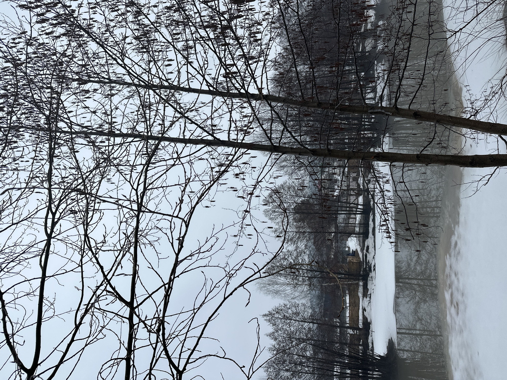 The image depicts a winter scene, likely in Chaikovsky, Russia, given the typical architecture and landscape characteristics. It's a cold, overcast day, with the ground covered in snow. A partially frozen body of water is visible, possibly a lake or river, reflecting the bare trees lining its banks. There's a small wooden structure, like a cabin or shed, partially covered in snow near the water's edge. In the foreground, there are bare trees with numerous small seed pods still attached. The overall atmosphere is bleak and quiet.