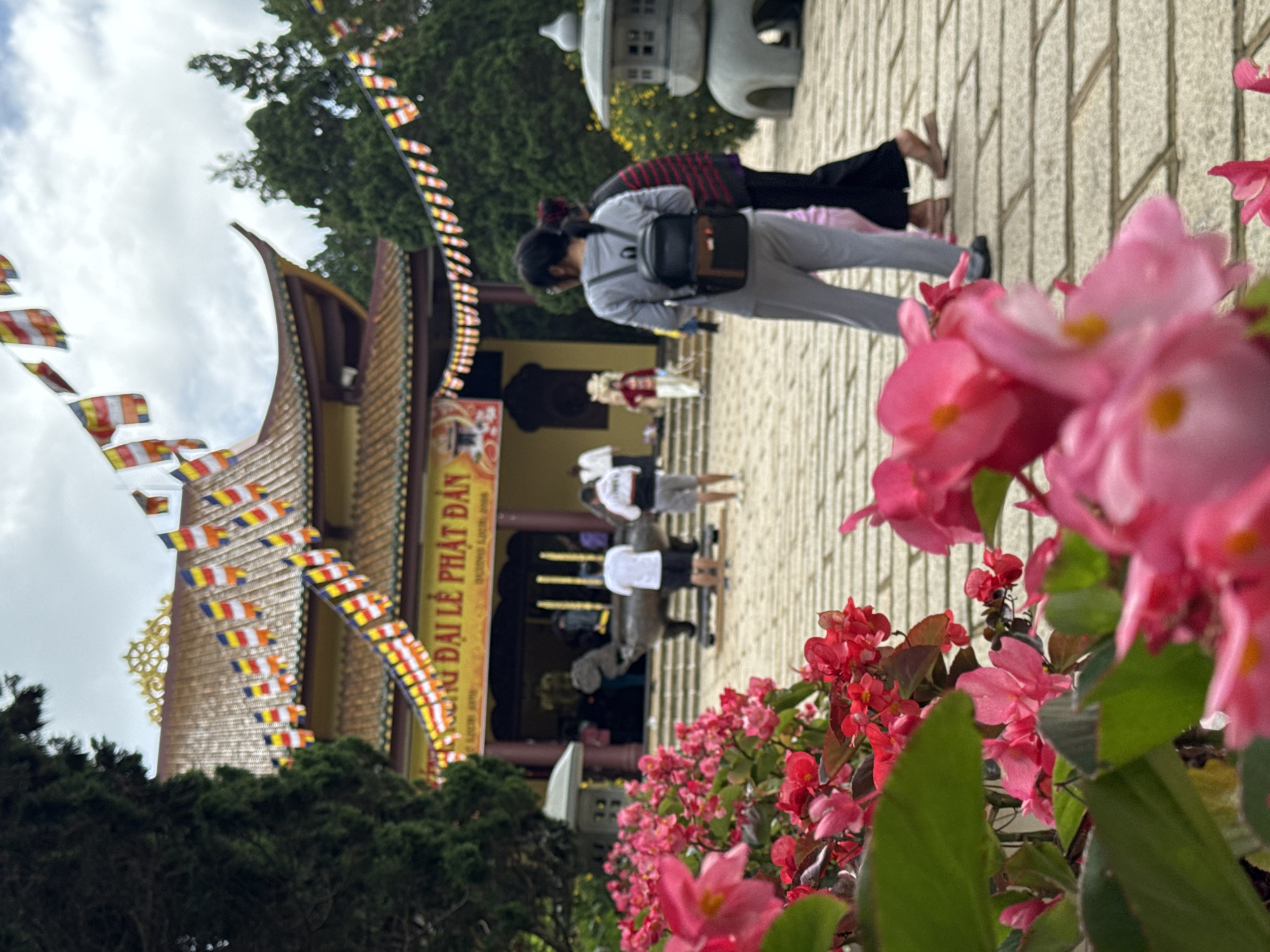This image depicts a Buddhist temple (pagoda) located in Da Lat, Vietnam, during what appears to be a special event, likely the Vesak (Buddha's Birthday) Grand Ceremony, indicated by a prominent banner.
In the foreground, a dense cluster of brilliant pink and red flowers, possibly Begonias, with green leaves, occupies the lower and left portions of the frame, rendered in a soft-focus blur.
The midground features a paved stone walkway leading towards the temple. Several individuals are present. In the right midground, a woman with dark hair tied back, wearing a grey long-sleeved top, grey pants, and a black backpack, walks away from the camera alongside another person in a dark top with red horizontal stripes. Further towards the temple, a man in a white t-shirt and dark shorts stands near a large, dark, ornate metallic incense burner, which is shaped like a mythical creature on a platform at the base of the temple steps. Other blurry figures are visible near the temple entrance. To the right of the walkway, a grey, multi-tiered stone lantern structure is visible.
The background is dominated by the temple building, characterized by its traditional East Asian architectural style with a tiled, multi-tiered, and curved brown roof. The main structure is a warm yellow/ochre color with dark brown accents. A large yellow banner with red Vietnamese text reading "CHÀO MỪNG ĐẠI LỄ PHẬT ĐẢN" (Welcome Vesak Grand Ceremony) is stretched across the upper facade of the temple. Numerous colorful Buddhist prayer flags (blue, yellow, red, white, orange) are strung in garlands along the temple's roofline and across the courtyard. Dark green coniferous trees frame the temple on both sides, rising towards an overcast sky with grey and white clouds. People are observed moving and congregating within the temple courtyard.